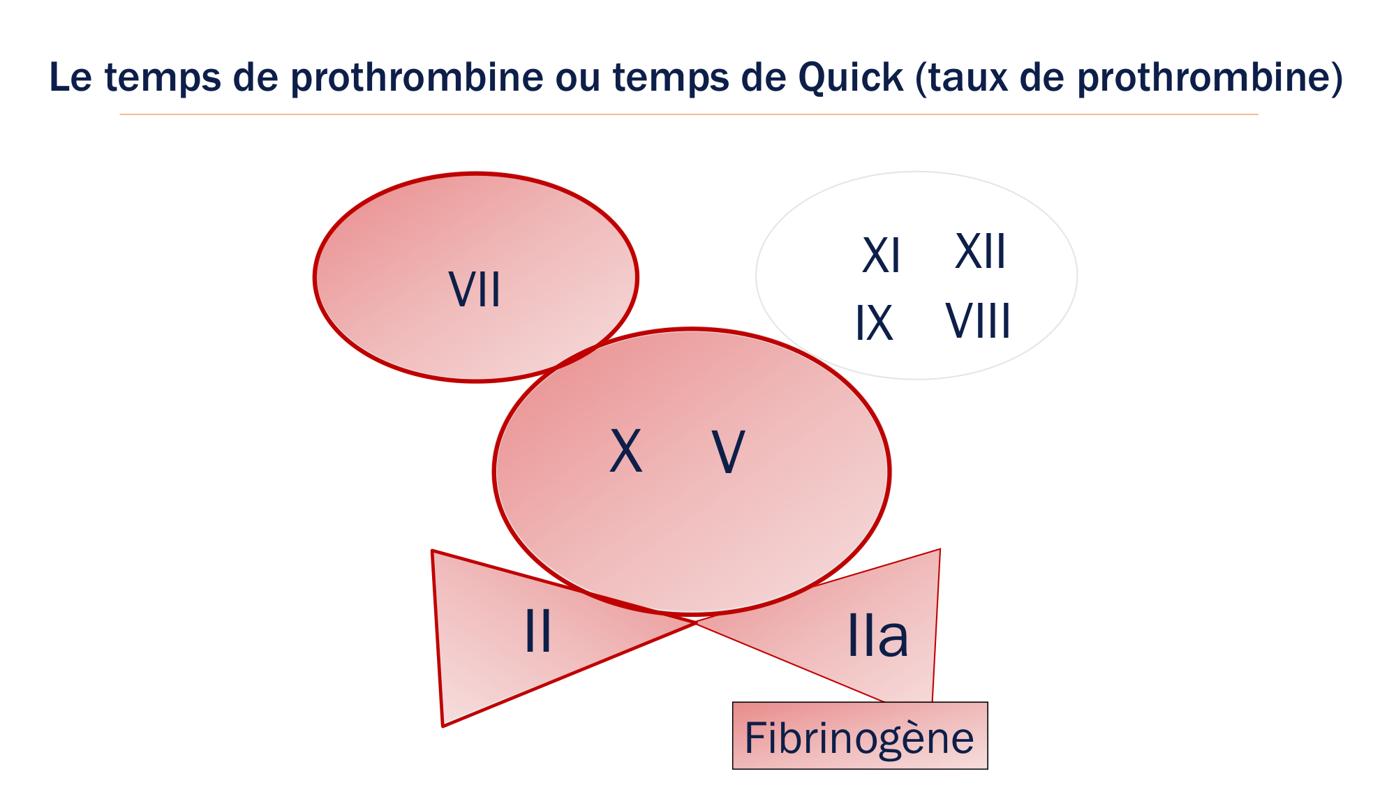 BA1 2026 maladie de lhémostase 3 page 56