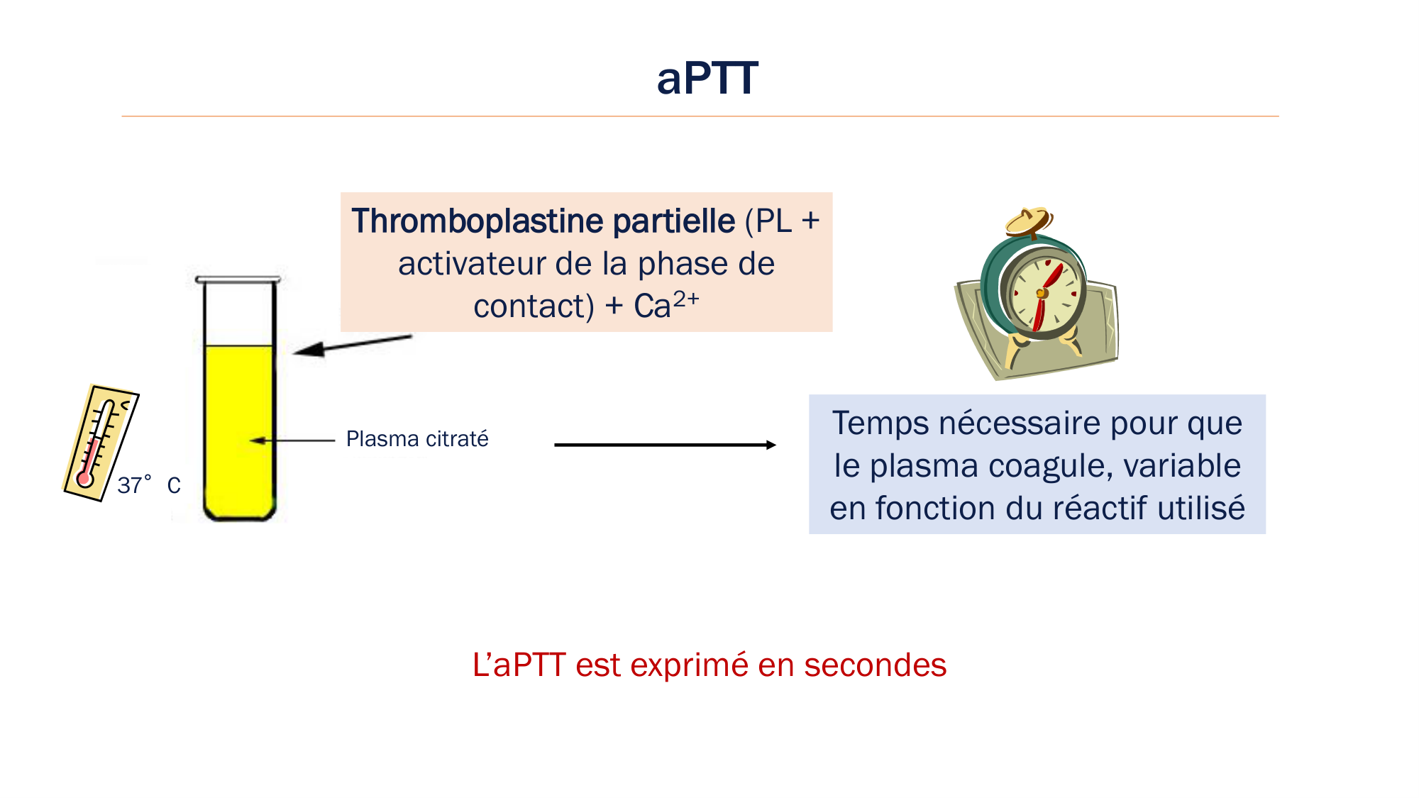 BA1 2026 maladie de lhémostase 3 page 58