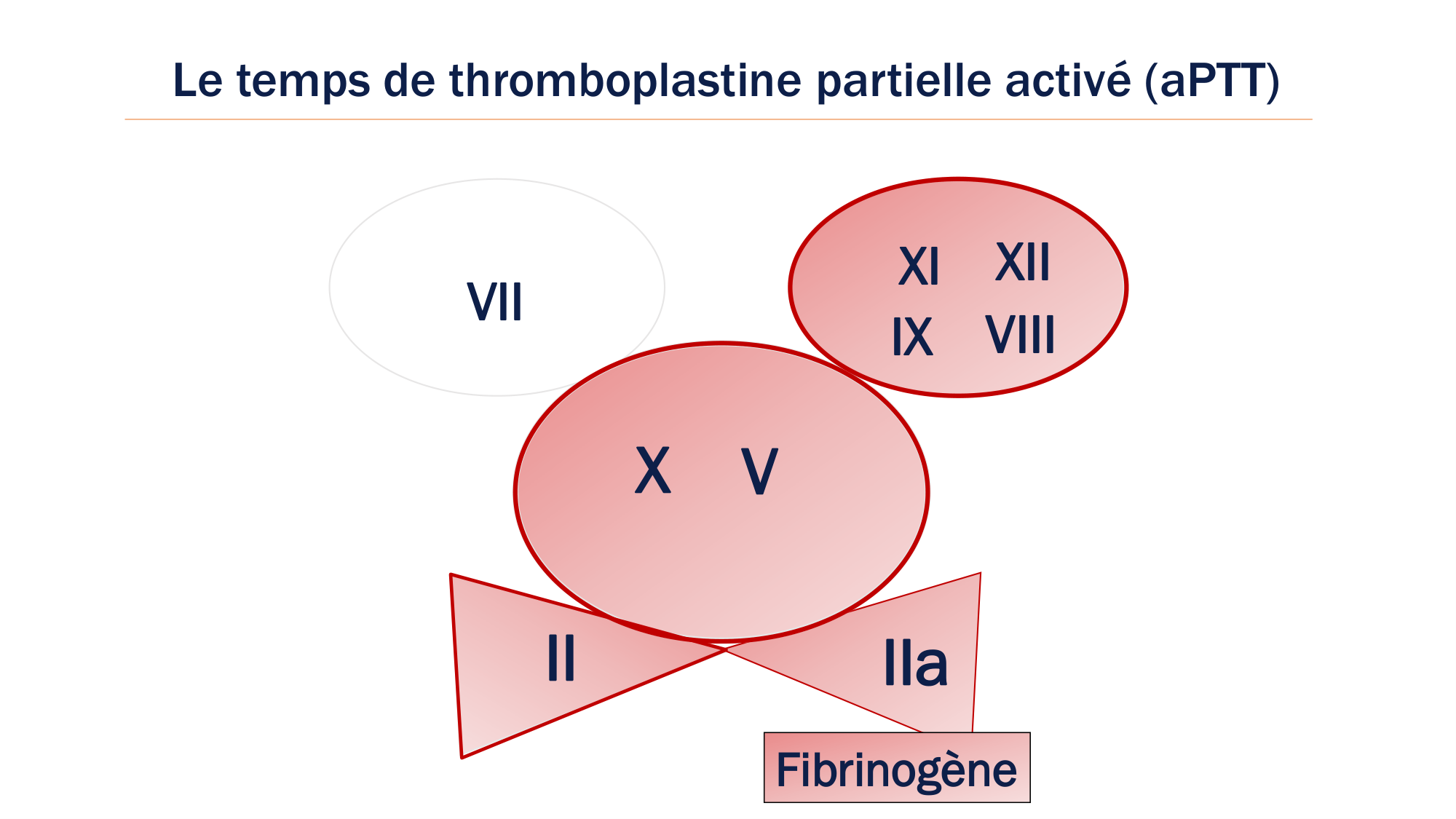 BA1 2026 maladie de lhémostase 3 page 59