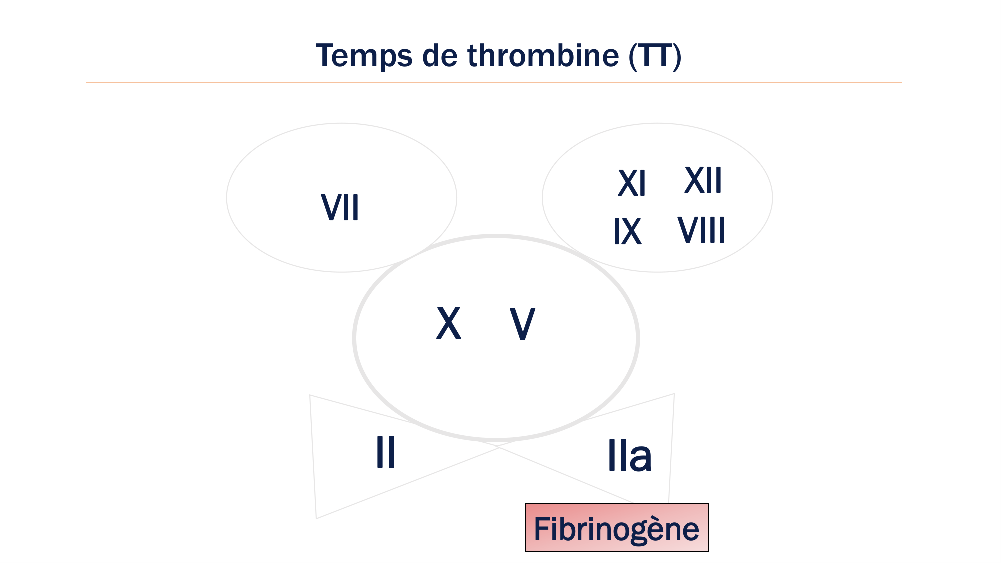 BA1 2026 maladie de lhémostase 3 page 61