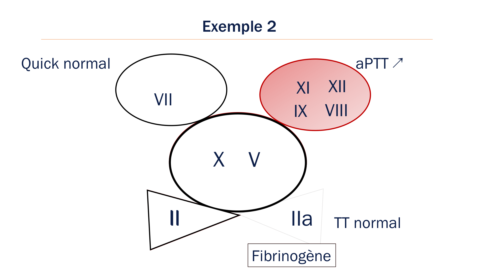 BA1 2026 maladie de lhémostase 3 page 64