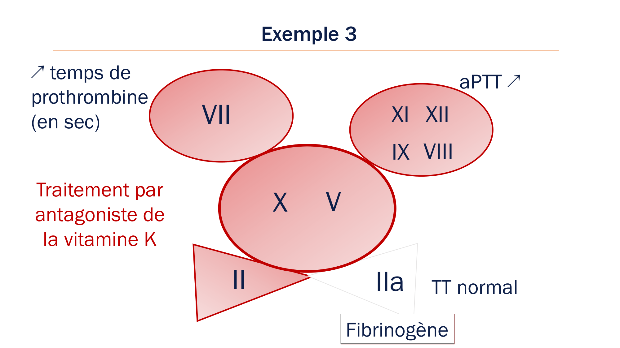 BA1 2026 maladie de lhémostase 3 page 67