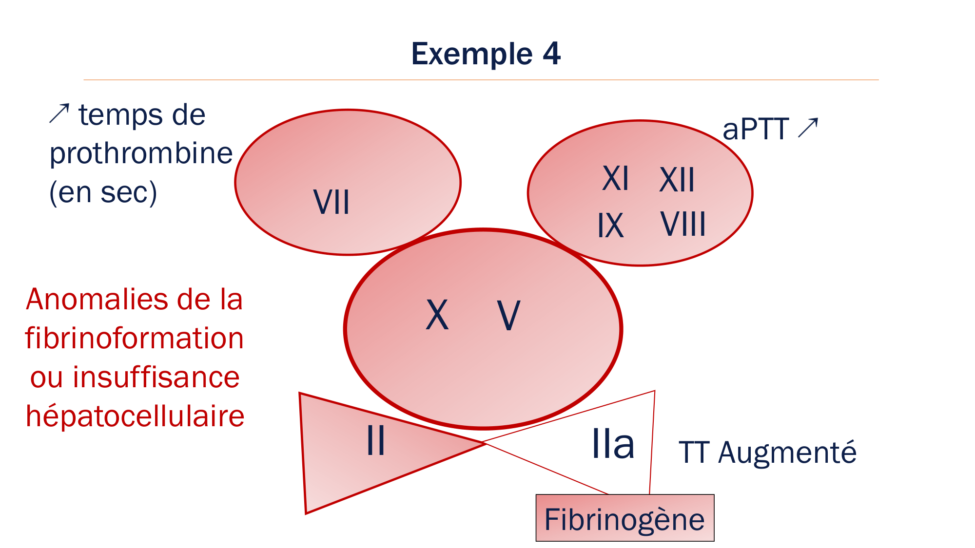 BA1 2026 maladie de lhémostase 3 page 69
