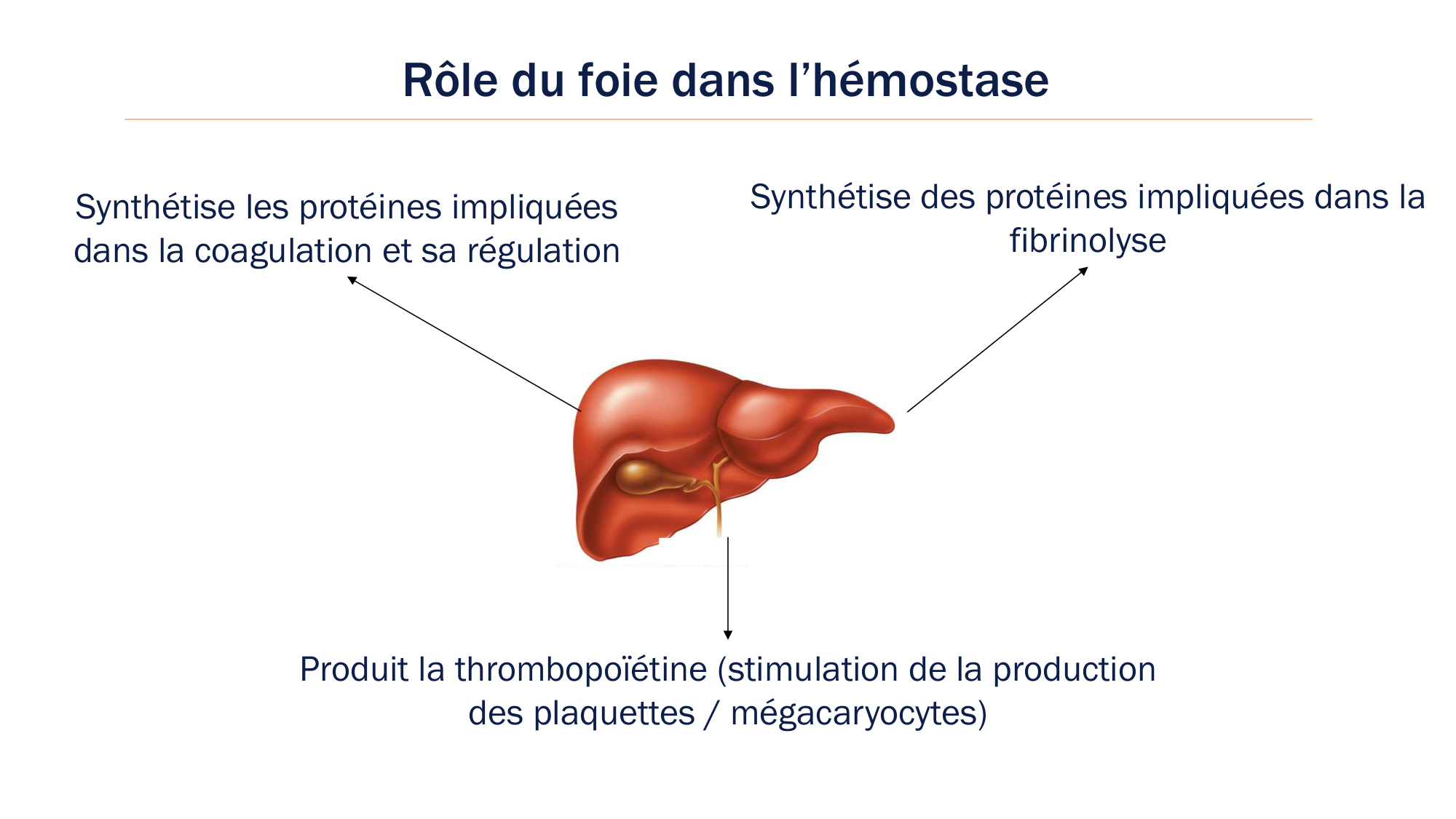 BA1 2026 maladie de lhémostase 3 page 70