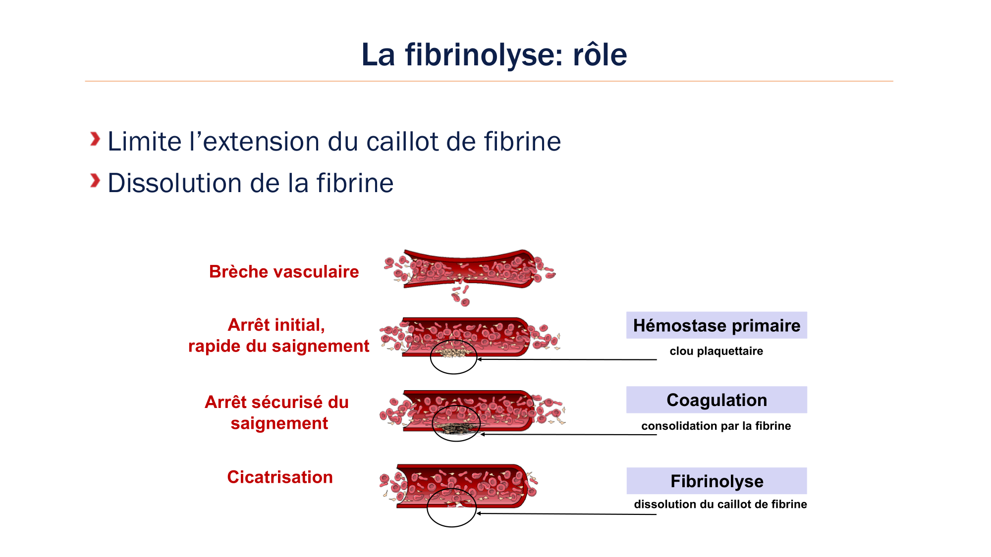 BA1 2026 maladie de lhémostase 3 page 72