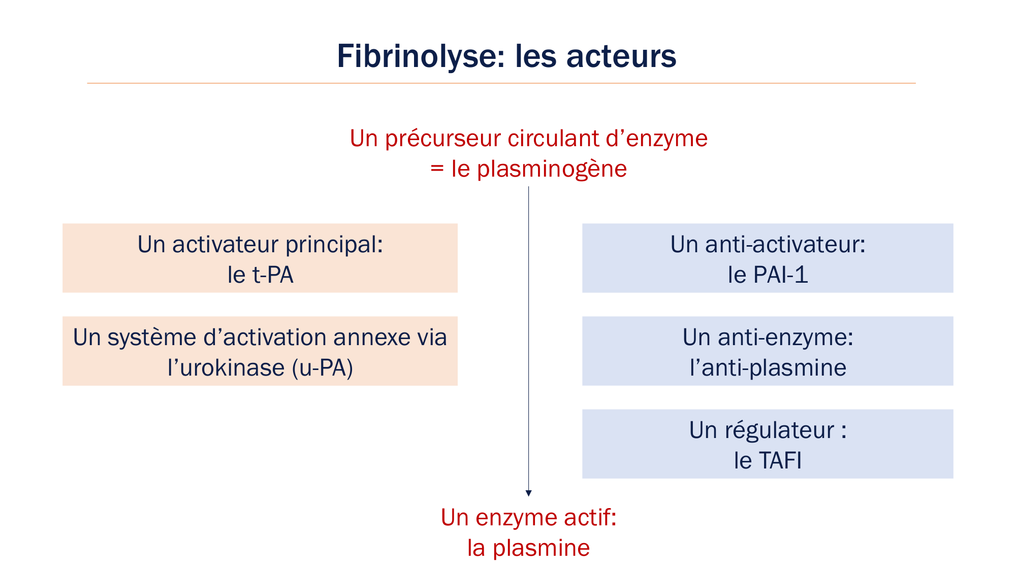 BA1 2026 maladie de lhémostase 3 page 73