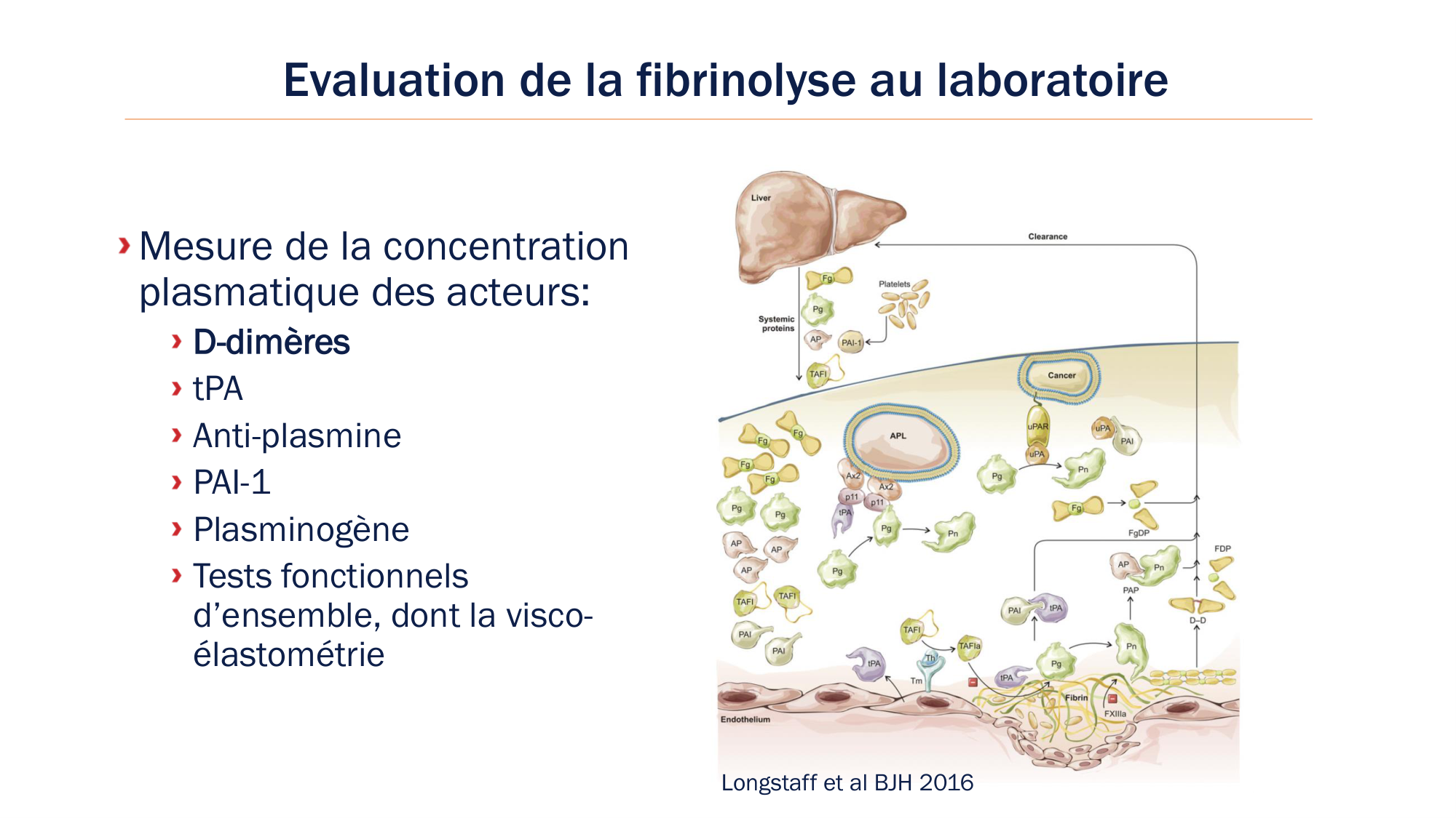 BA1 2026 maladie de lhémostase 3 page 75