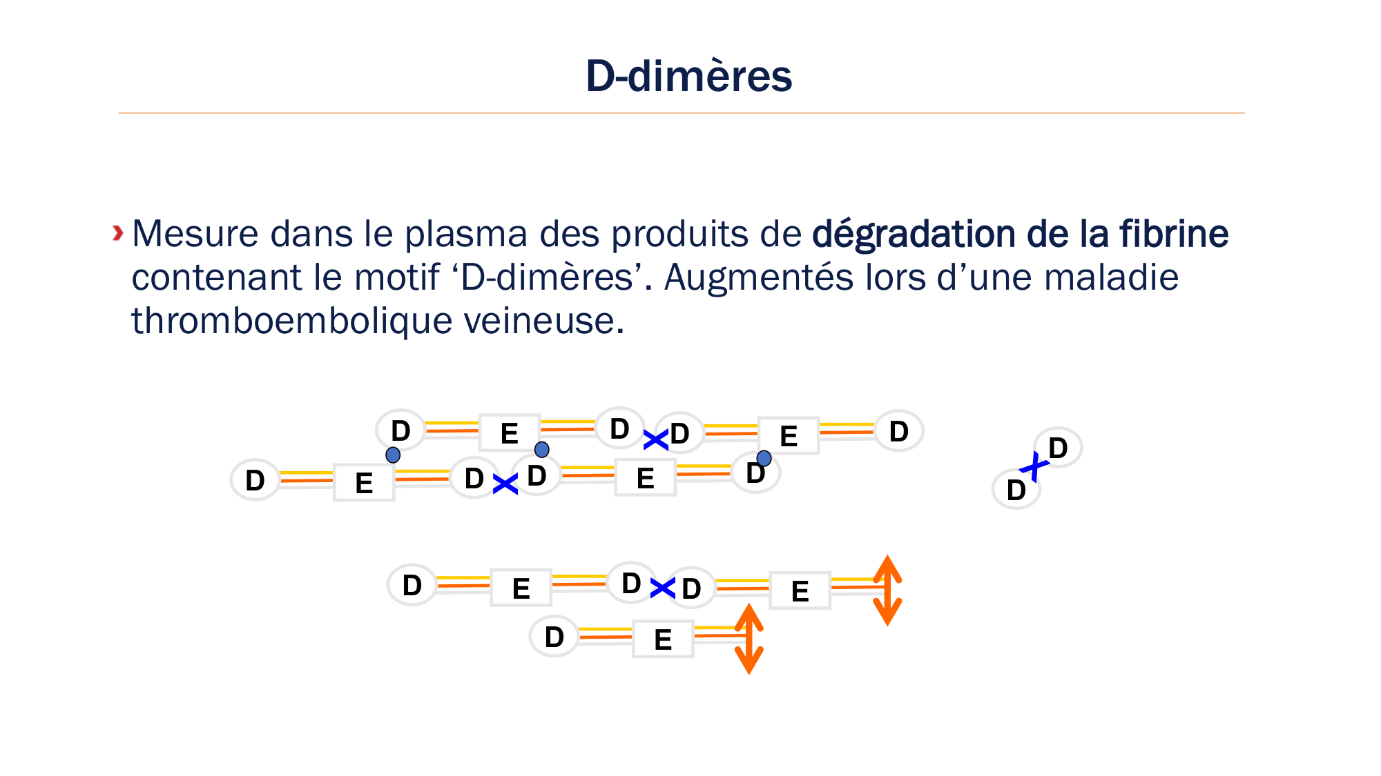 BA1 2026 maladie de lhémostase 3 page 76