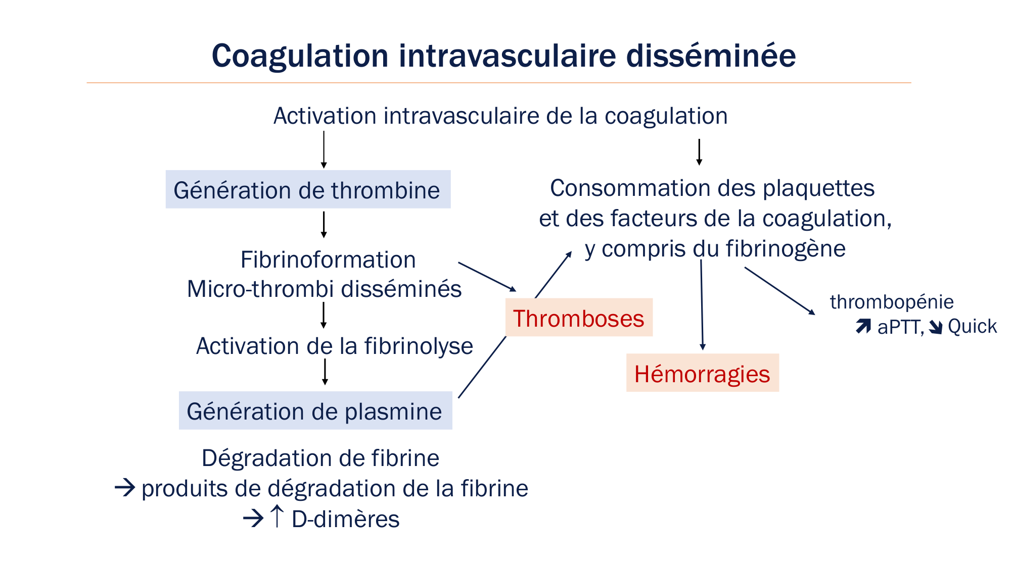 BA1 2026 maladie de lhémostase 3 page 79