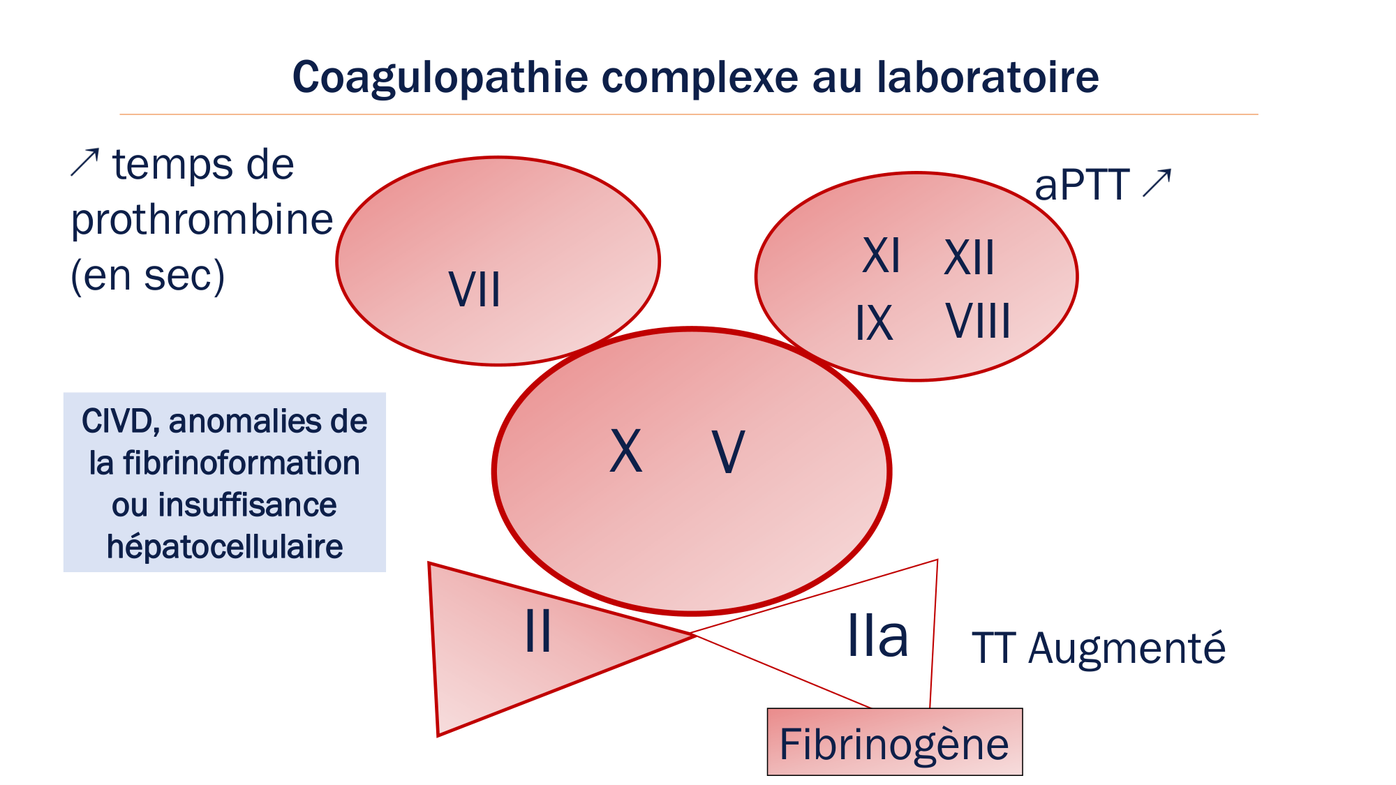BA1 2026 maladie de lhémostase 3 page 80
