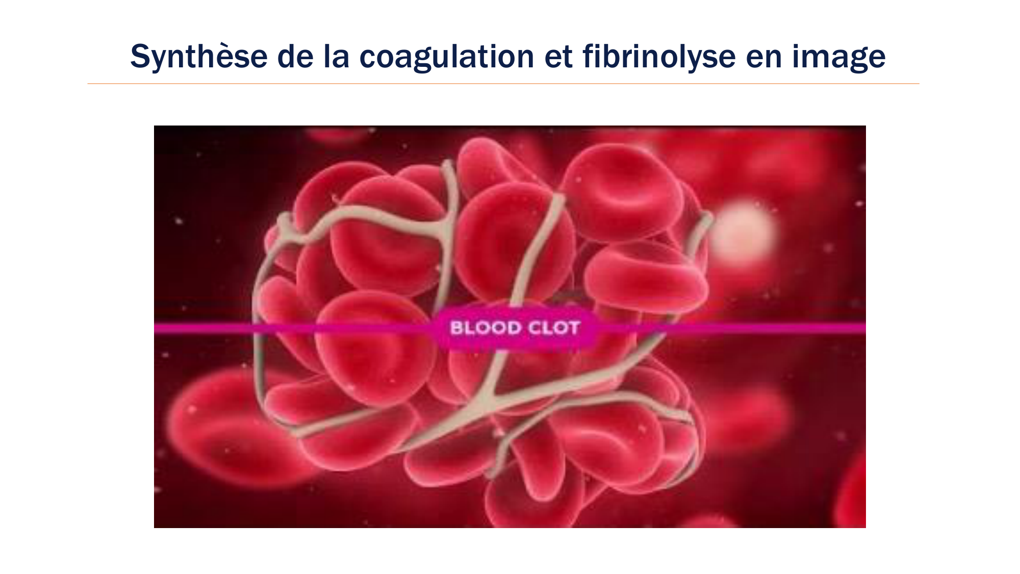 BA1 2026 maladie de lhémostase 3 page 81