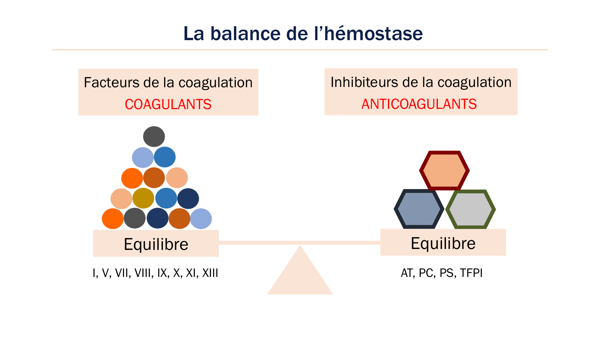 BA1 2026 maladie de lhémostase 3 page 87