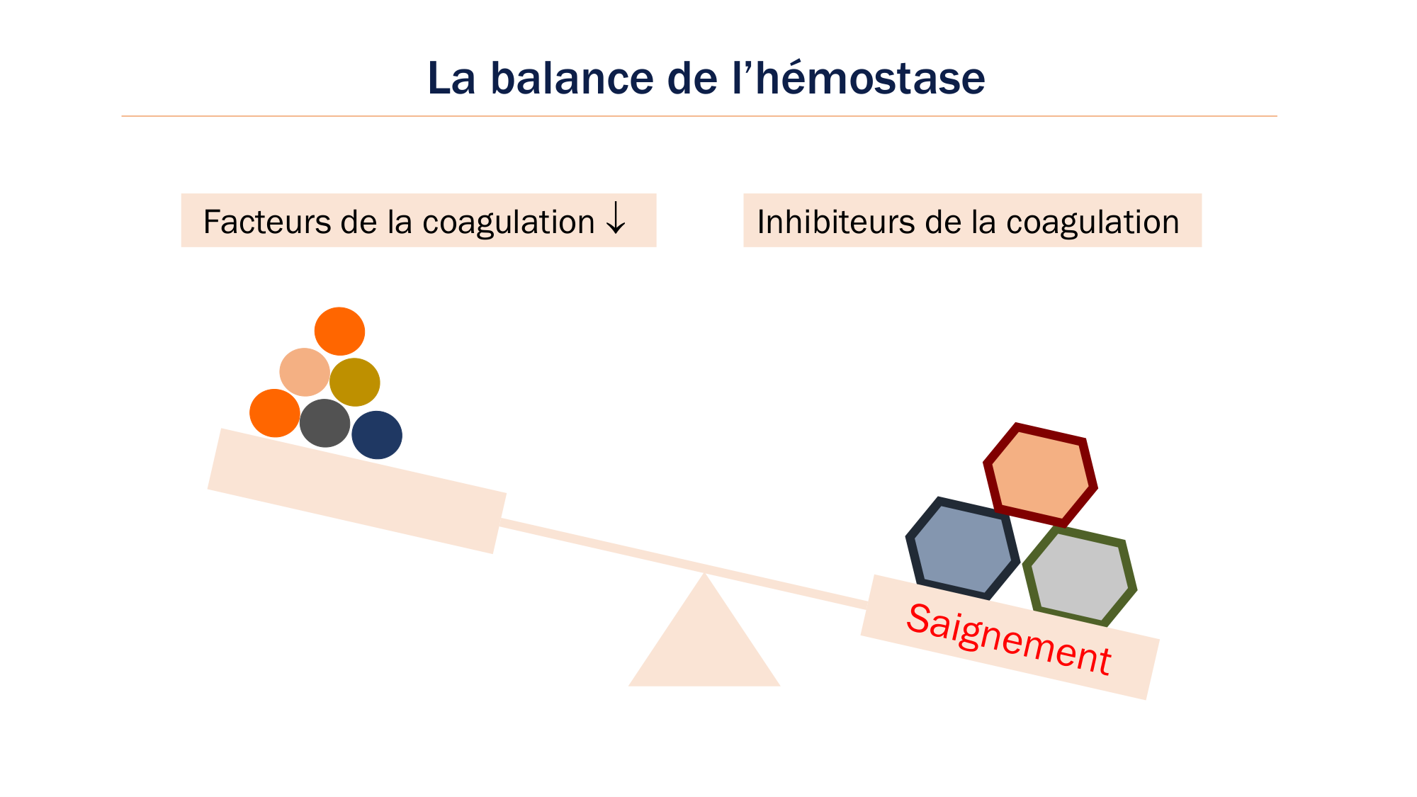 BA1 2026 maladie de lhémostase 3 page 88