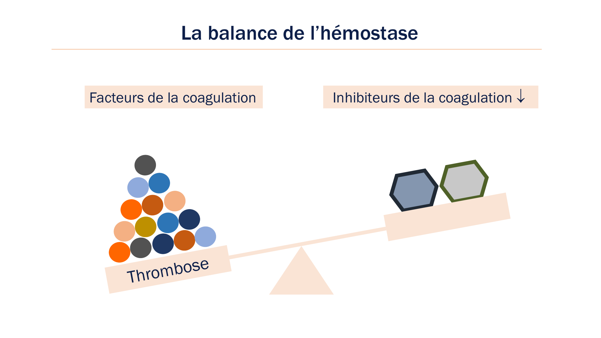 BA1 2026 maladie de lhémostase 3 page 89