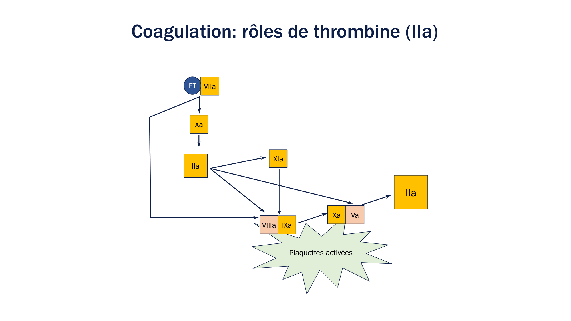 BA1 2026 maladie de lhémostase 3 page 90
