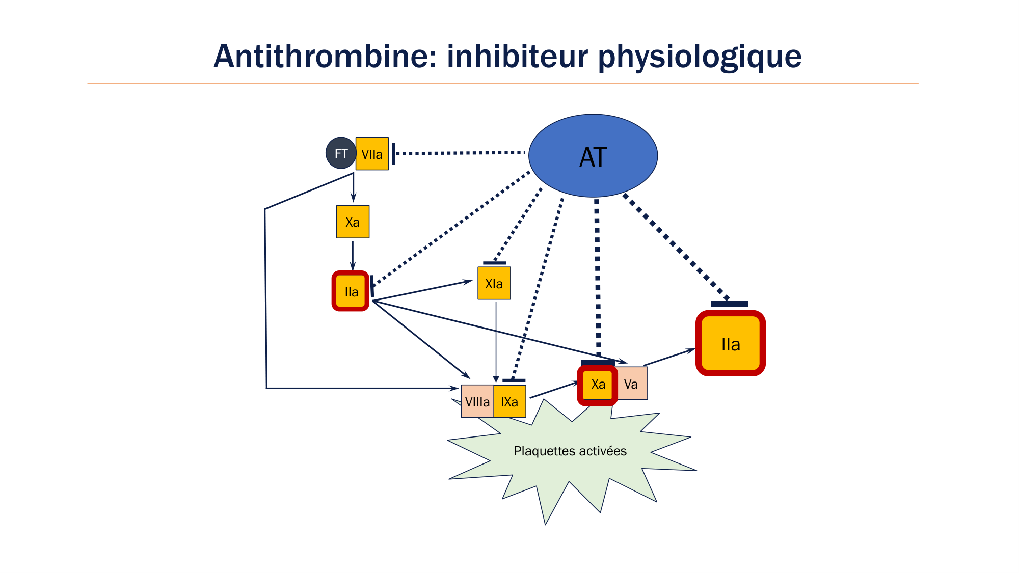 BA1 2026 maladie de lhémostase 3 page 91