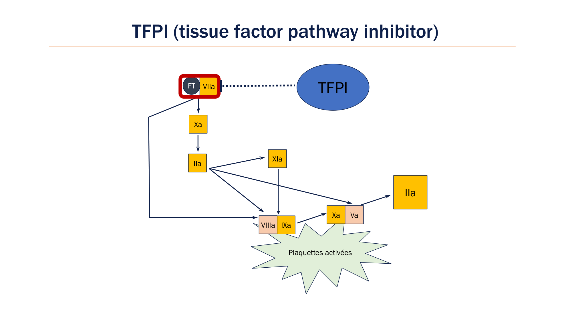 BA1 2026 maladie de lhémostase 3 page 92