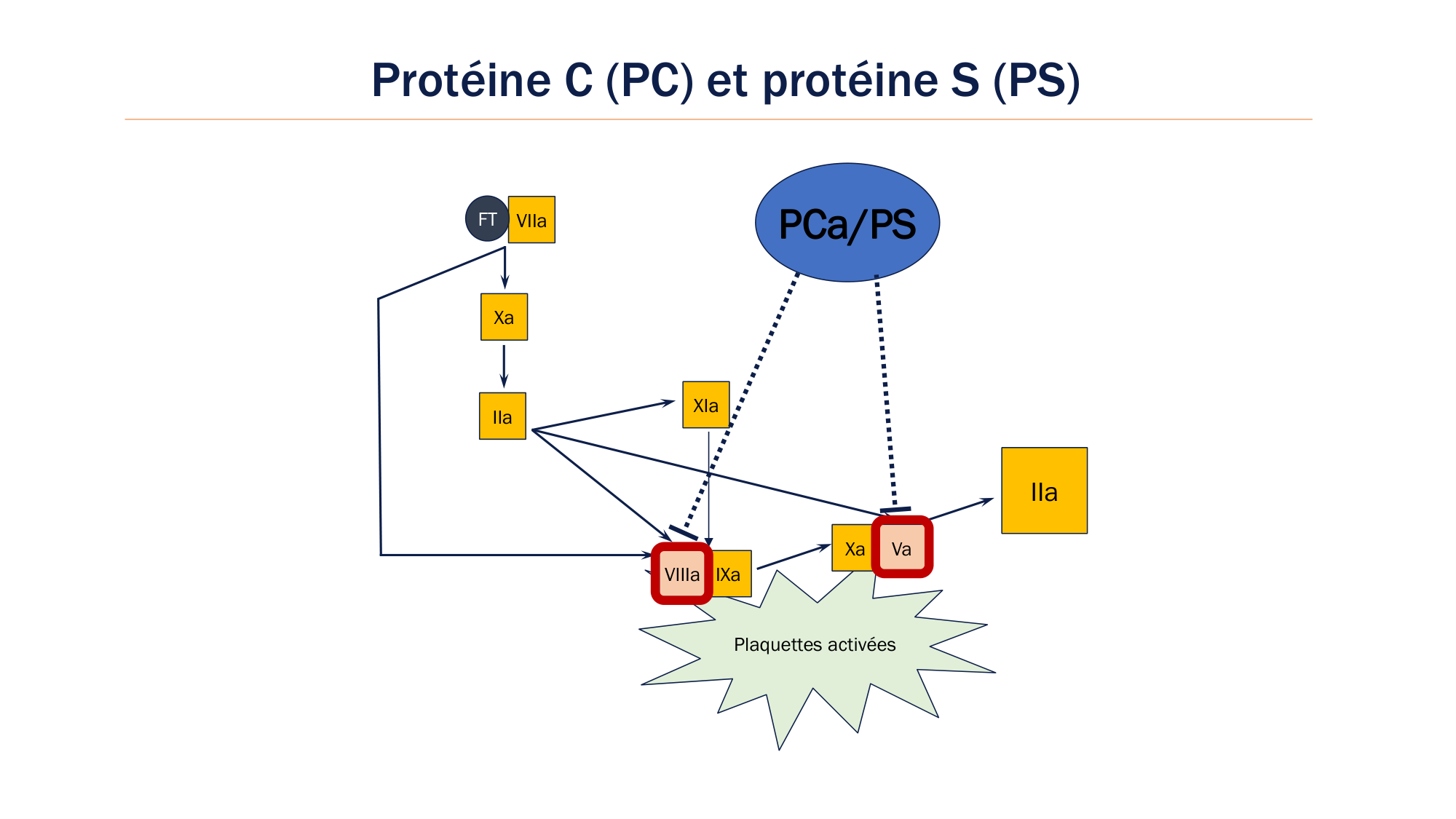 BA1 2026 maladie de lhémostase 3 page 93