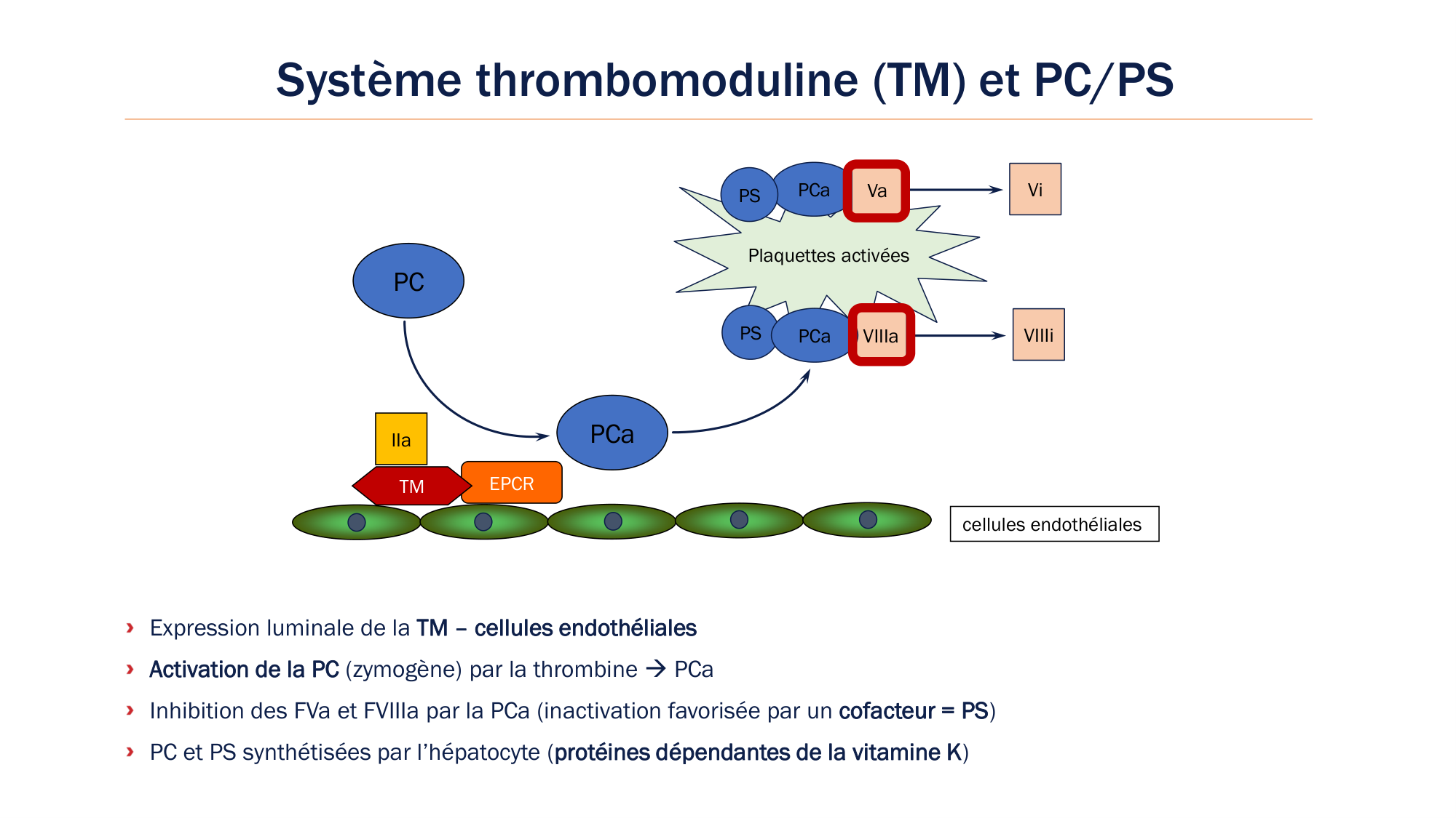 BA1 2026 maladie de lhémostase 3 page 94