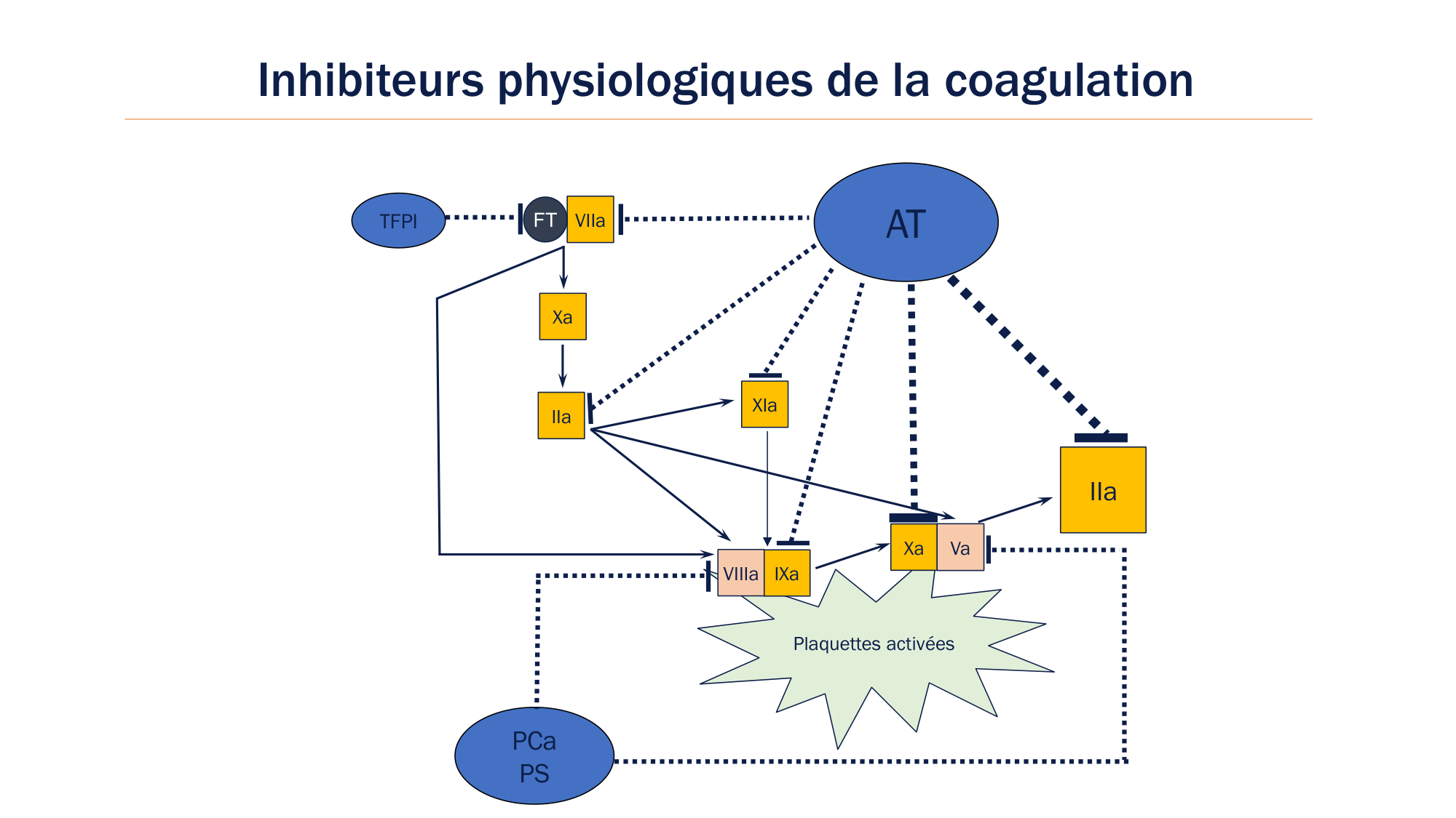 BA1 2026 maladie de lhémostase 3 page 95