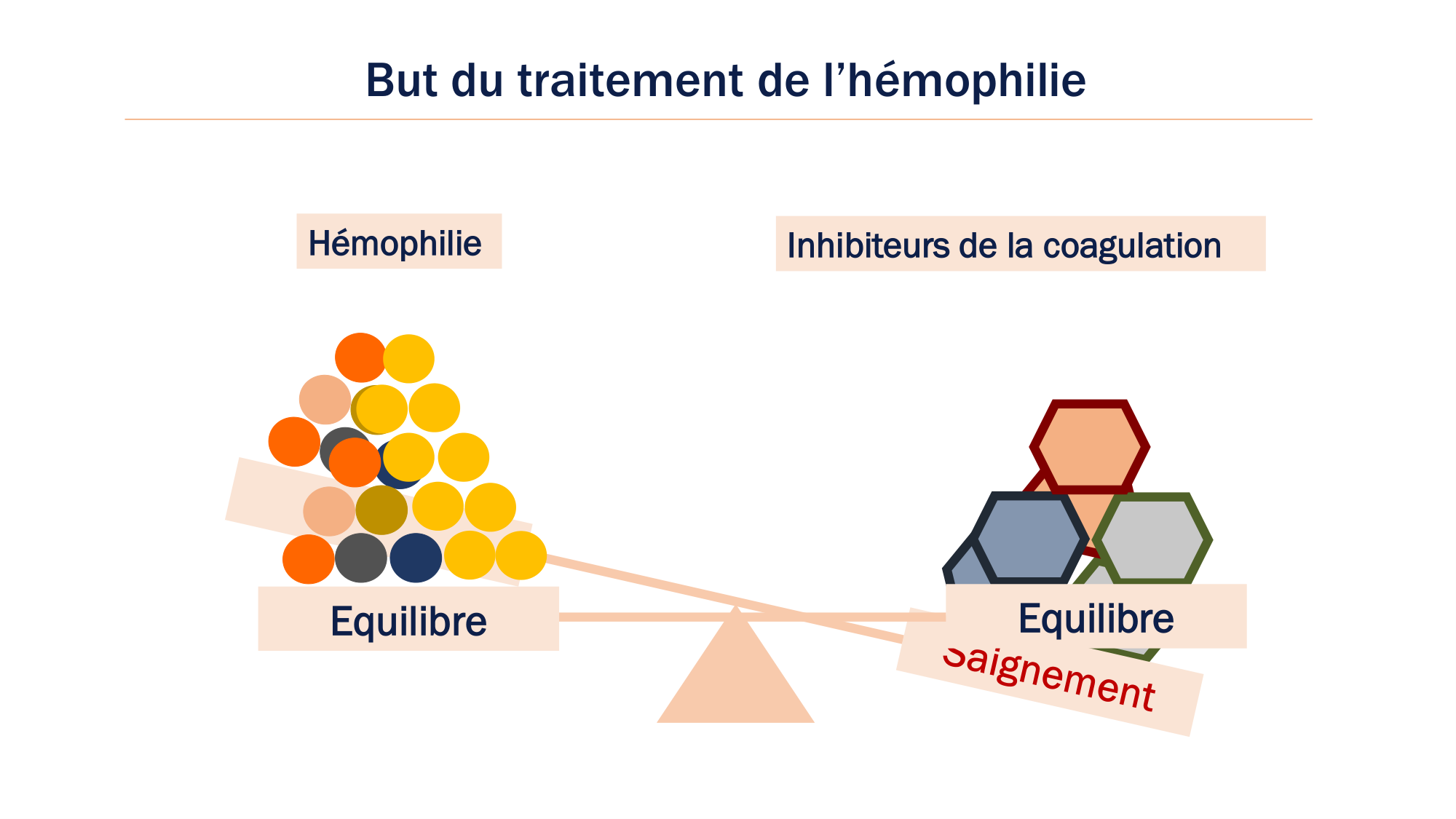 BA1 2026 maladie de lhémostase 3 page 110