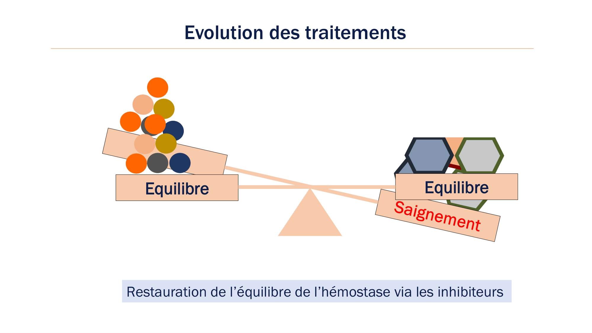 BA1 2026 maladie de lhémostase 3 page 113
