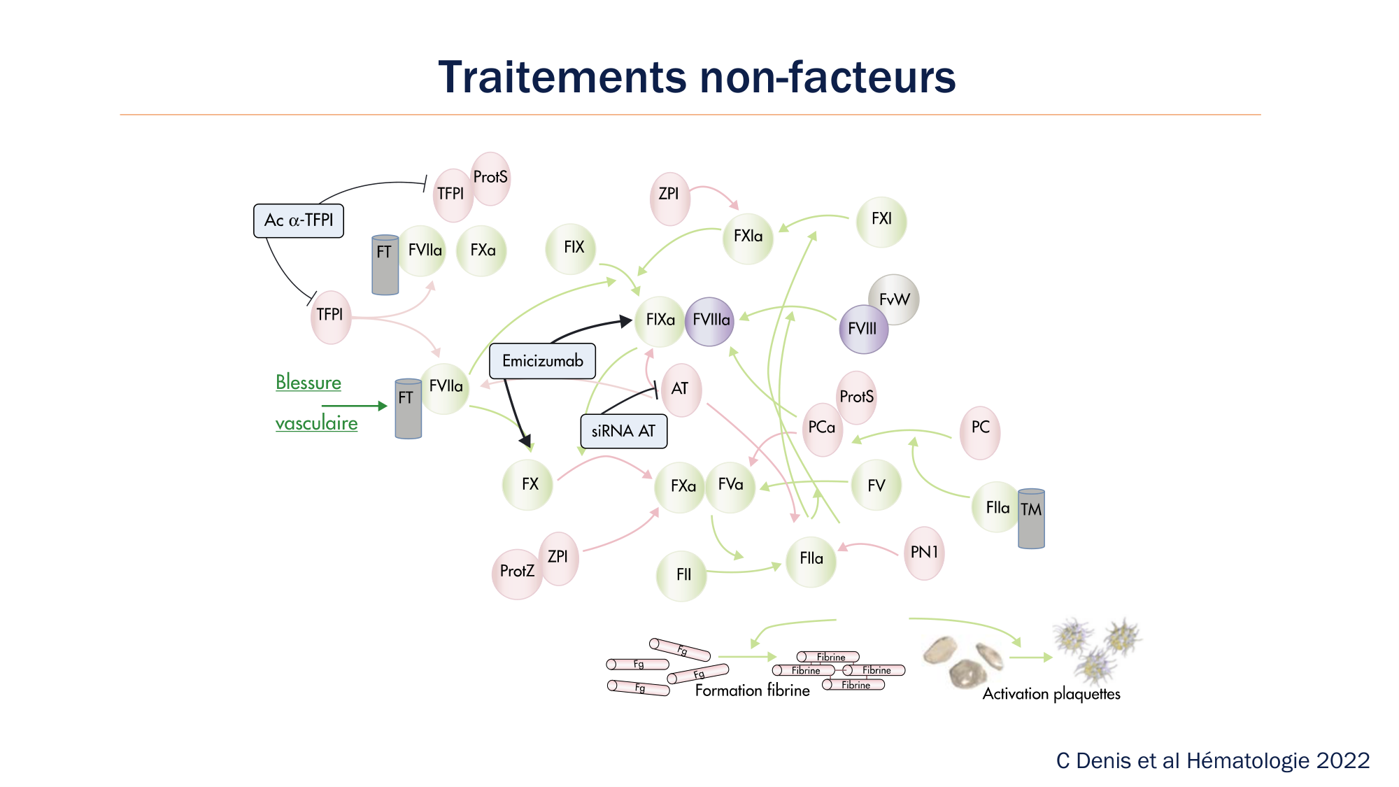 BA1 2026 maladie de lhémostase 3 page 114