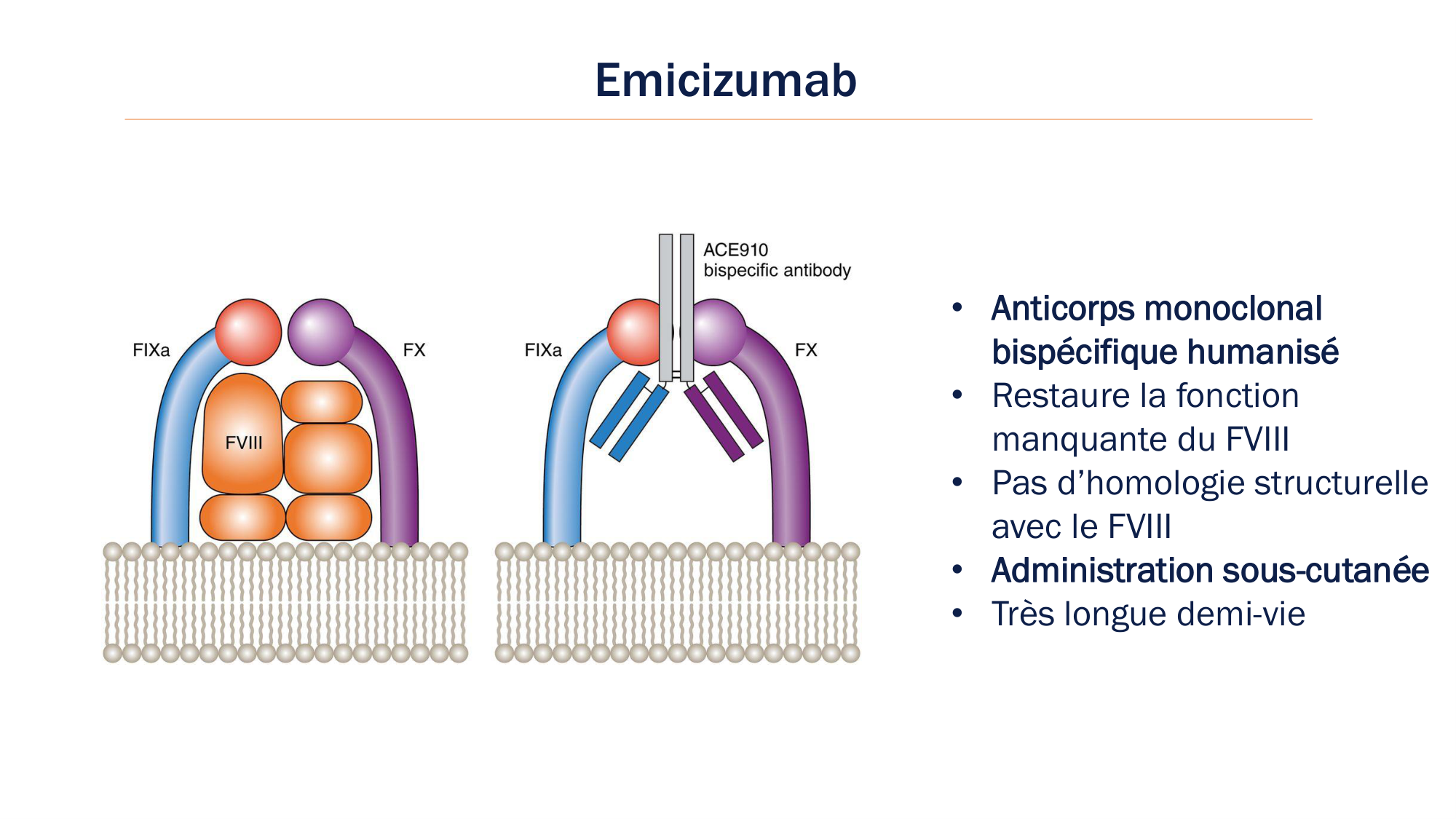 BA1 2026 maladie de lhémostase 3 page 115