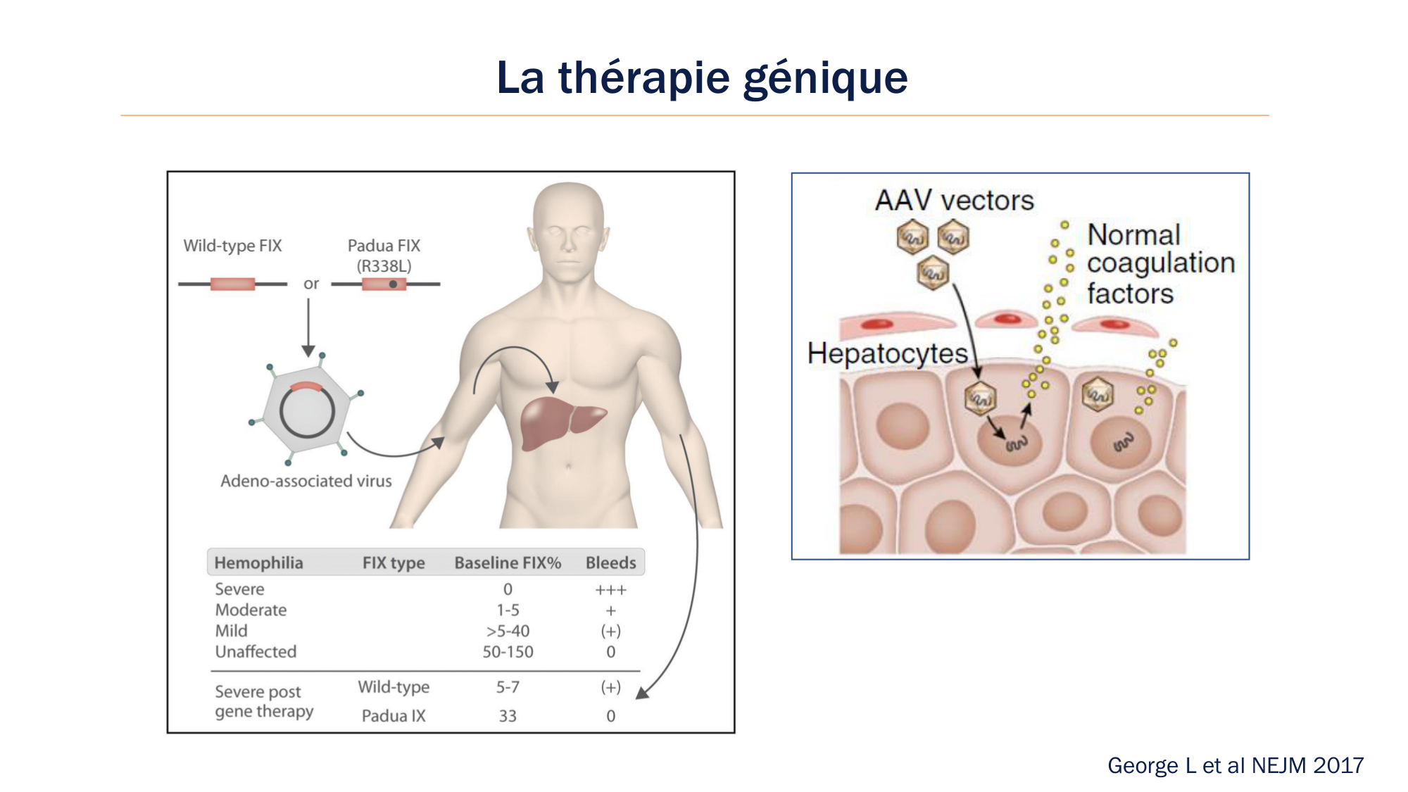 BA1 2026 maladie de lhémostase 3 page 116