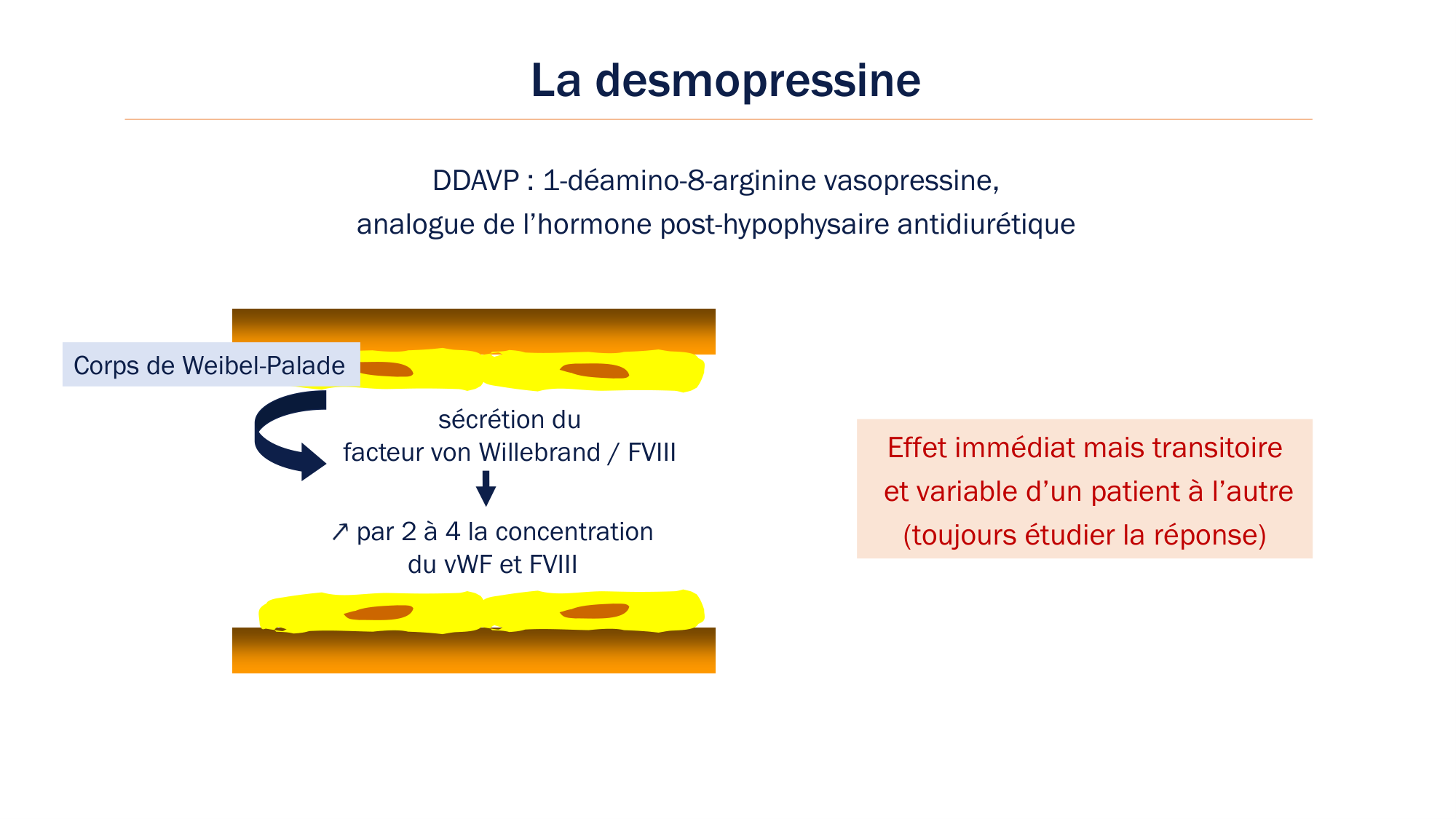 BA1 2026 maladie de lhémostase 3 page 118