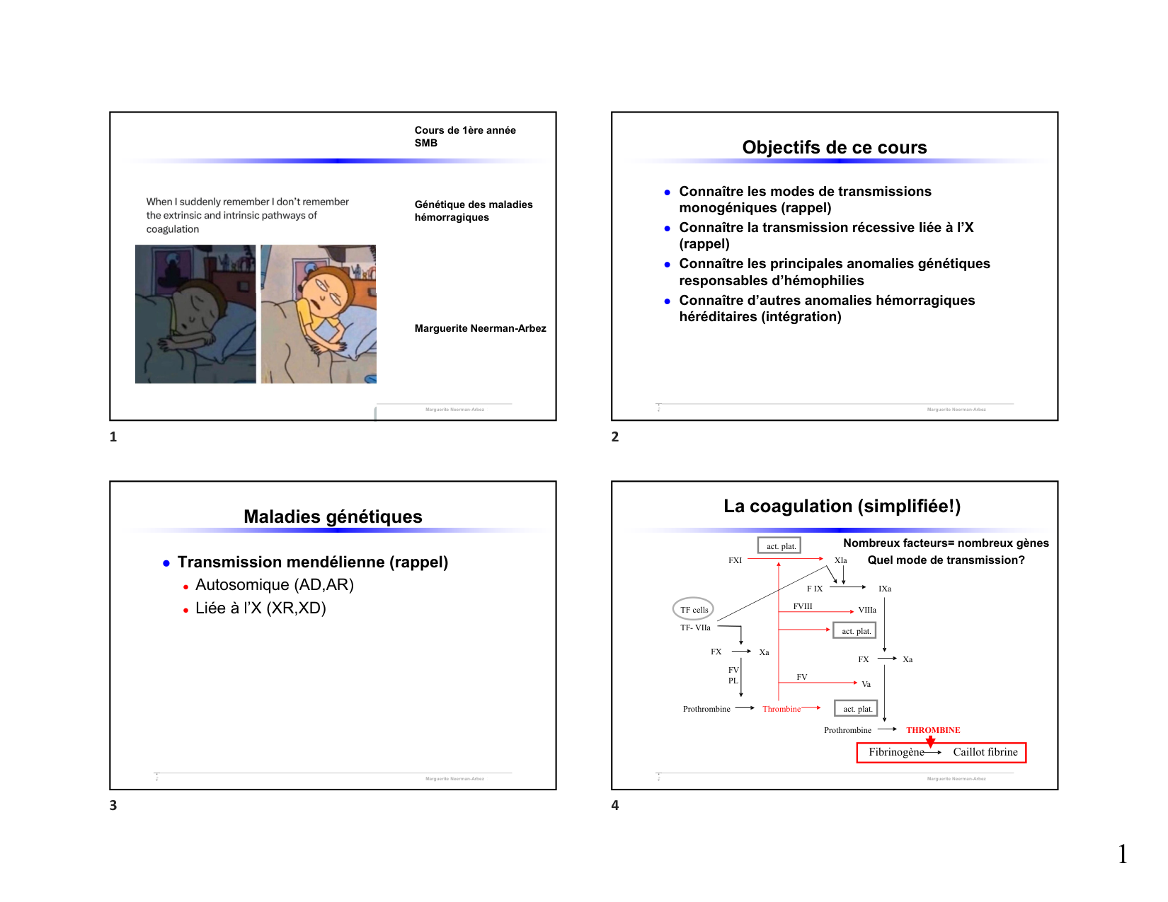 Hémophilie étudiants 2026 page 1
