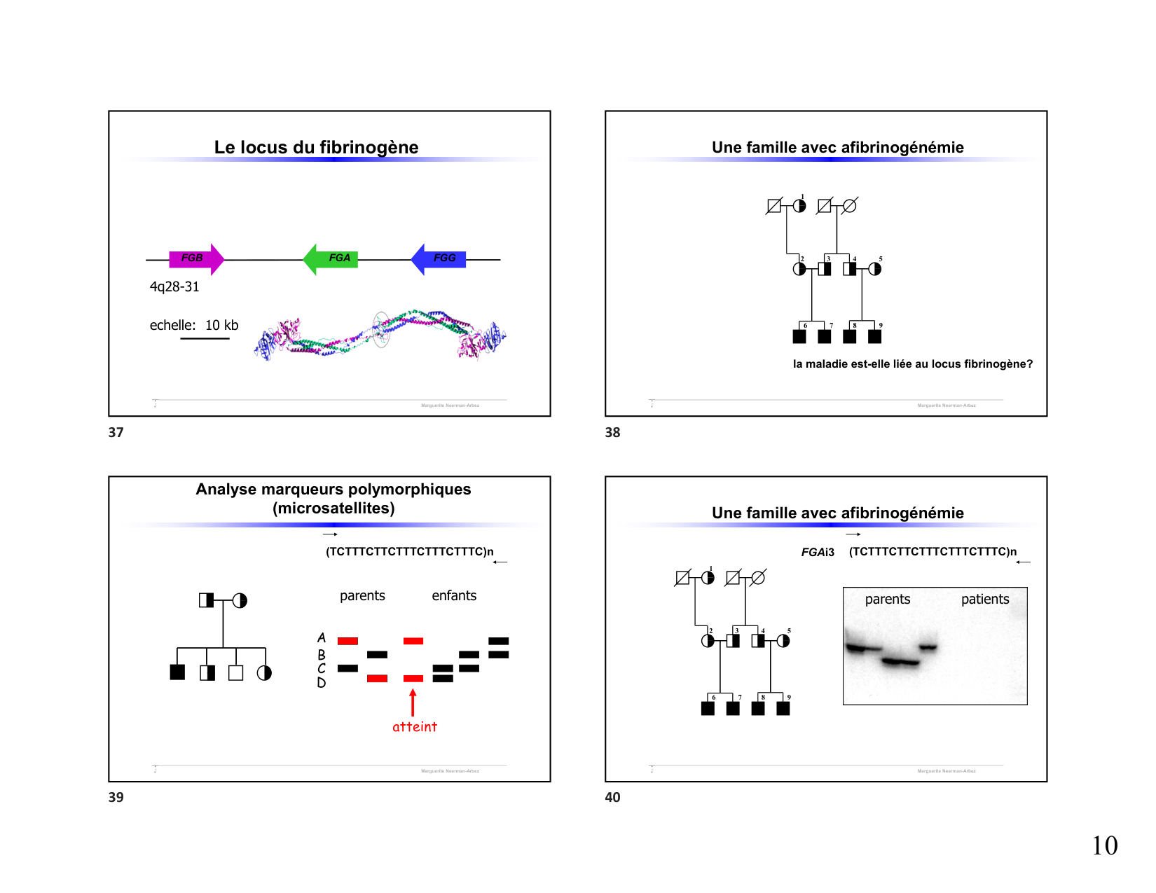 Hémophilie étudiants 2026 page 10