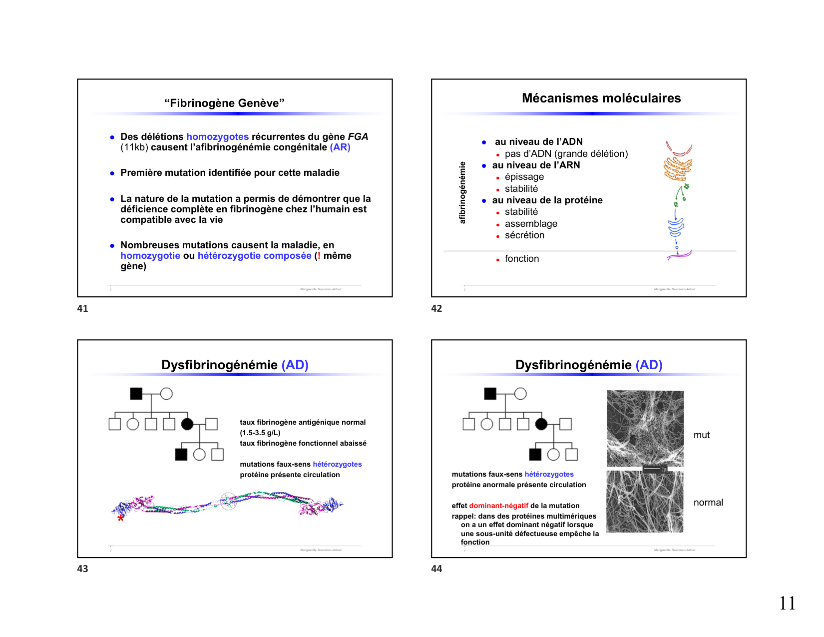 Hémophilie étudiants 2026 page 11