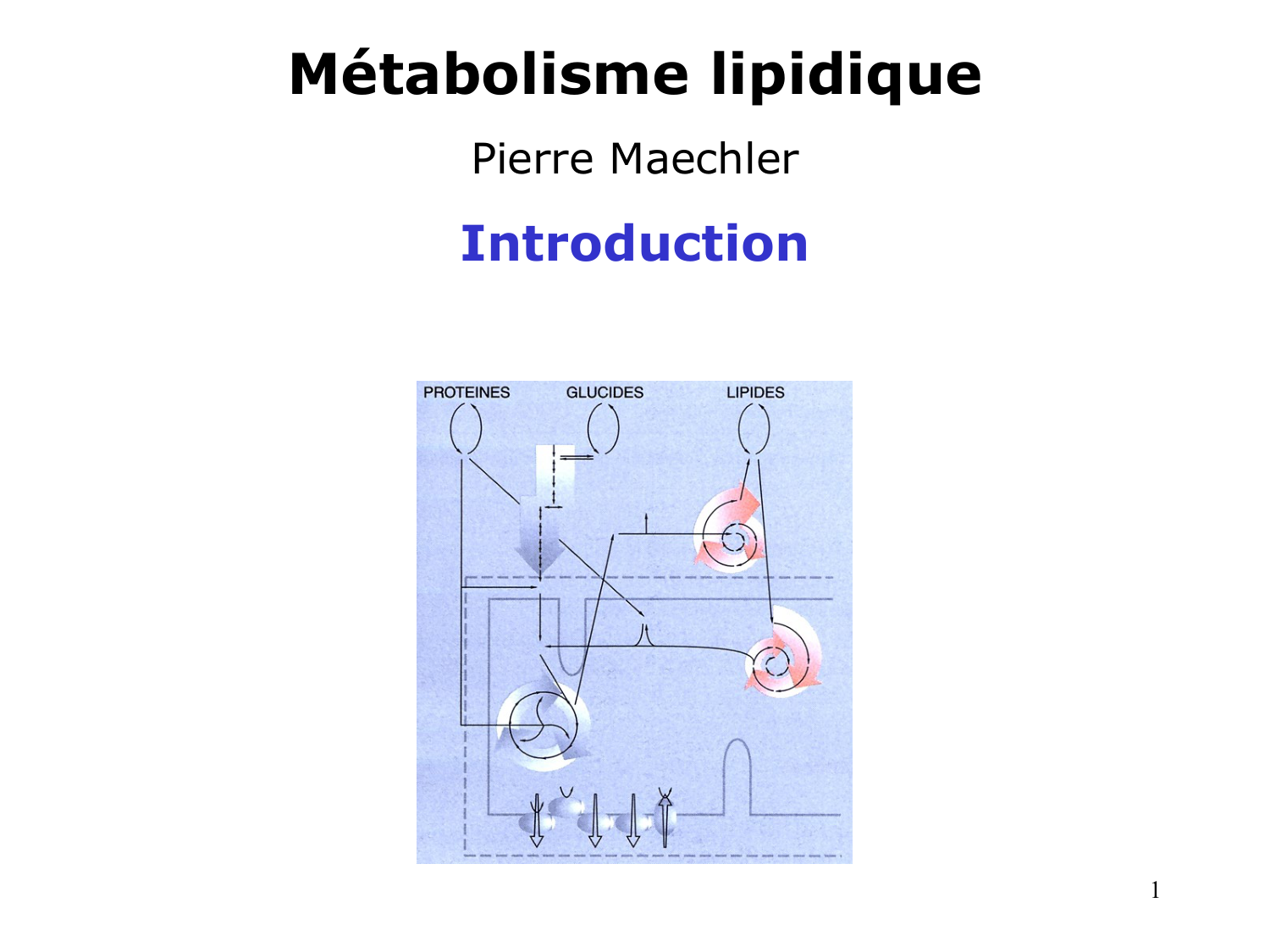 1. Introduction au métabolisme lipidique page 1