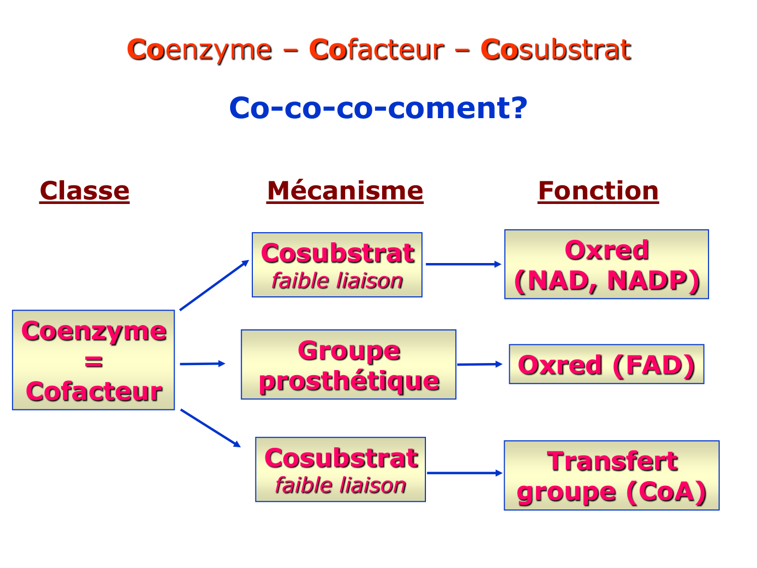 1. Introduction au métabolisme lipidique page 7