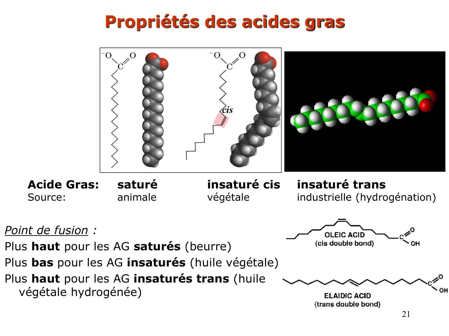 1. Introduction au métabolisme lipidique page 21