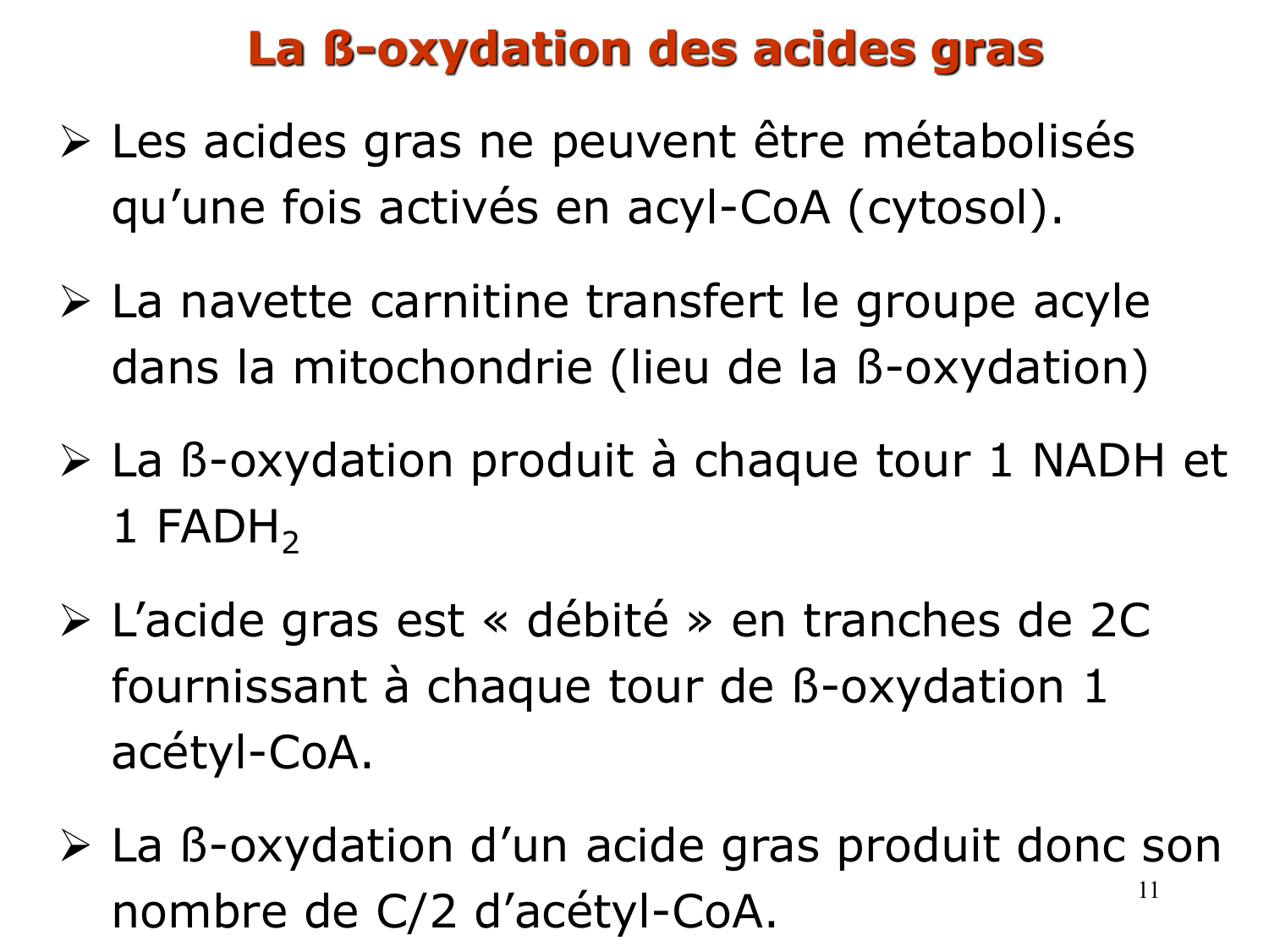 2. Métabolisme des acides gras page 11