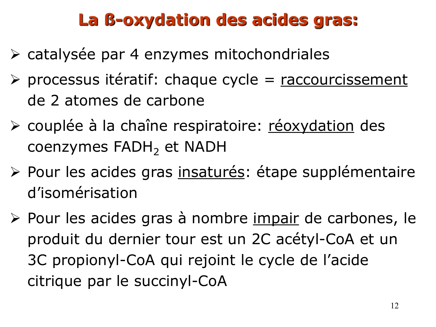 2. Métabolisme des acides gras page 12
