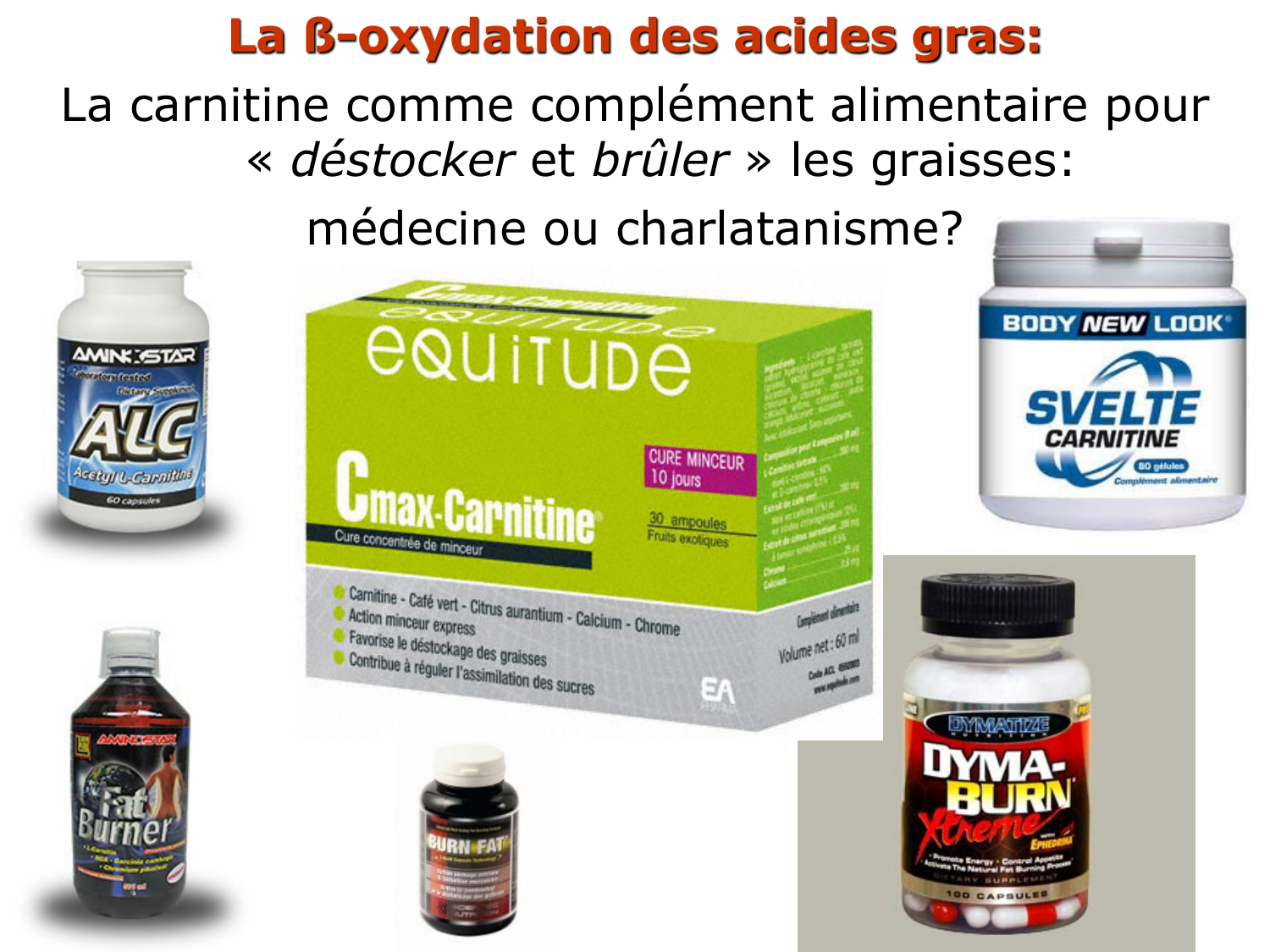 2. Métabolisme des acides gras page 14