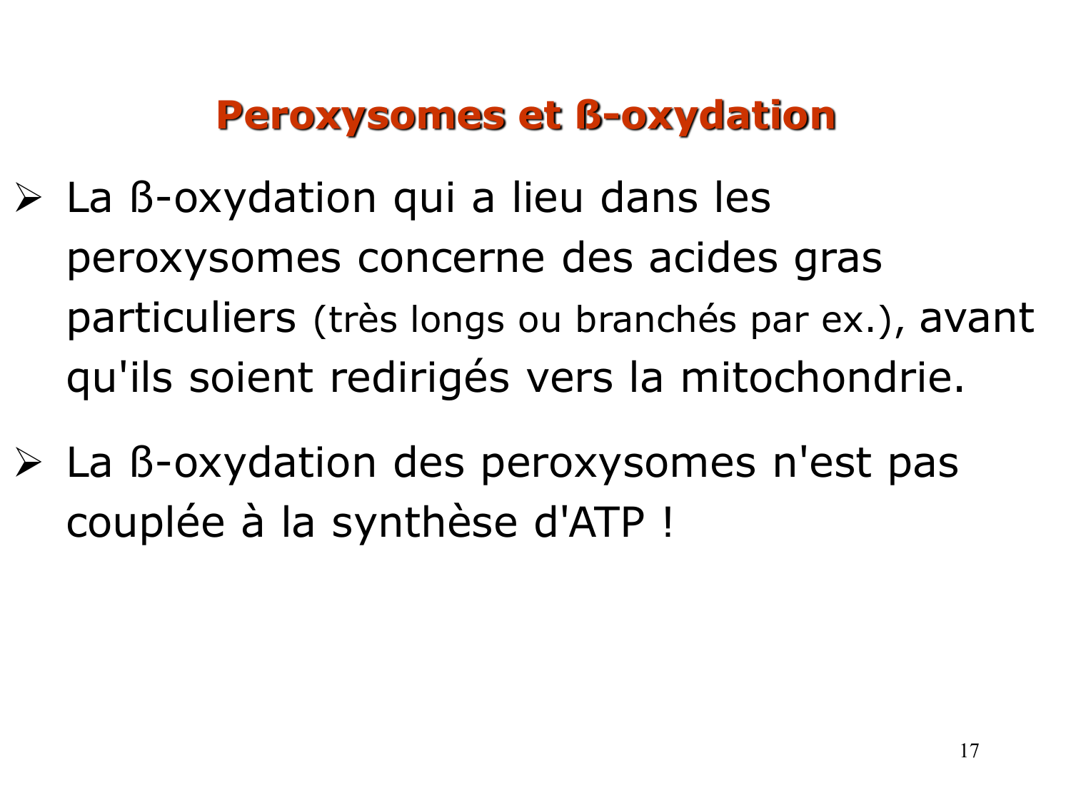 2. Métabolisme des acides gras page 17
