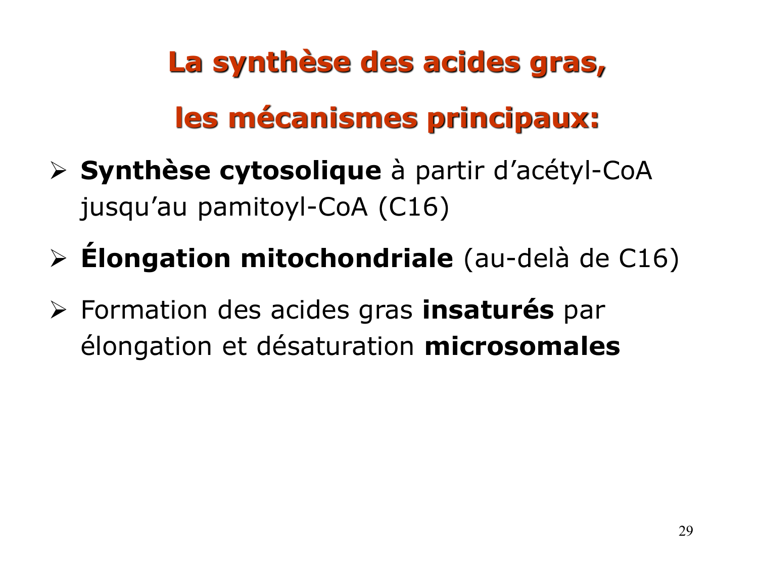 2. Métabolisme des acides gras page 29