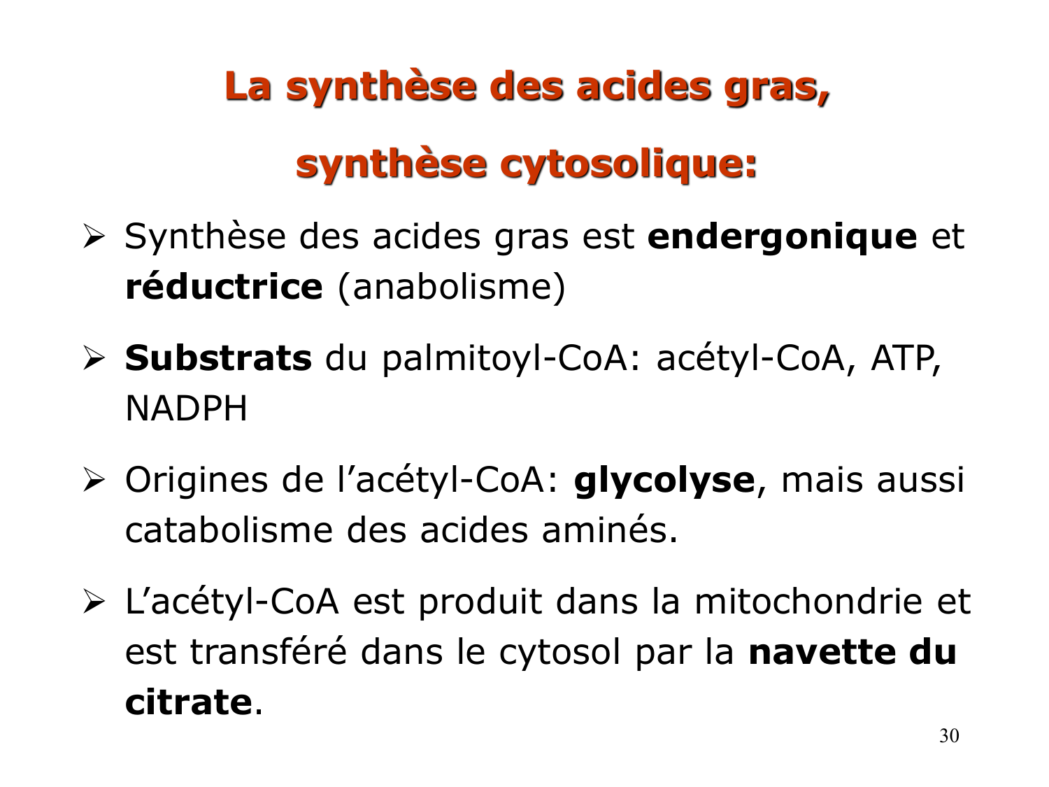 2. Métabolisme des acides gras page 30