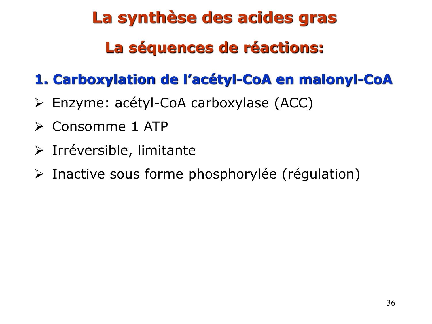 2. Métabolisme des acides gras page 36