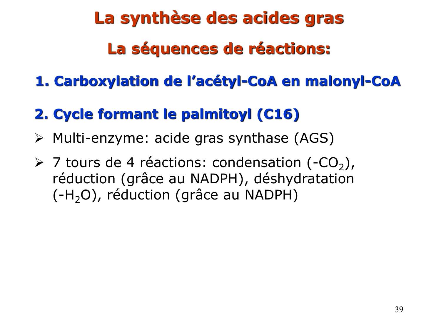2. Métabolisme des acides gras page 39