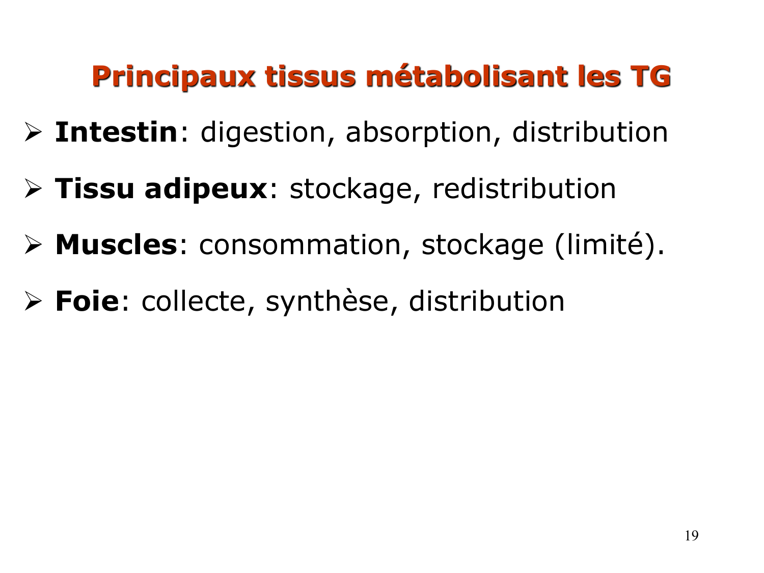 3. Métabolisme des triglycérides page 19