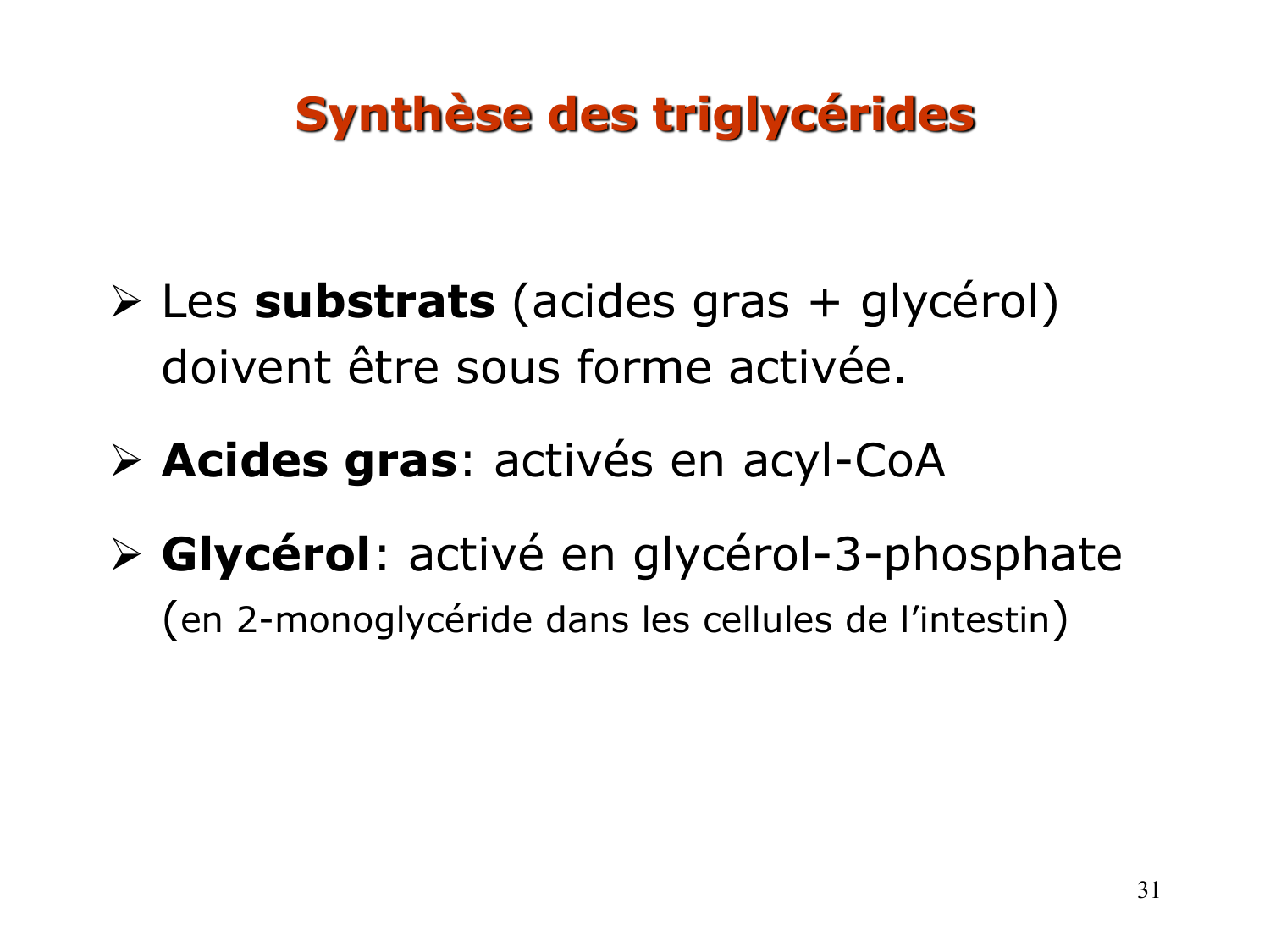 3. Métabolisme des triglycérides page 31