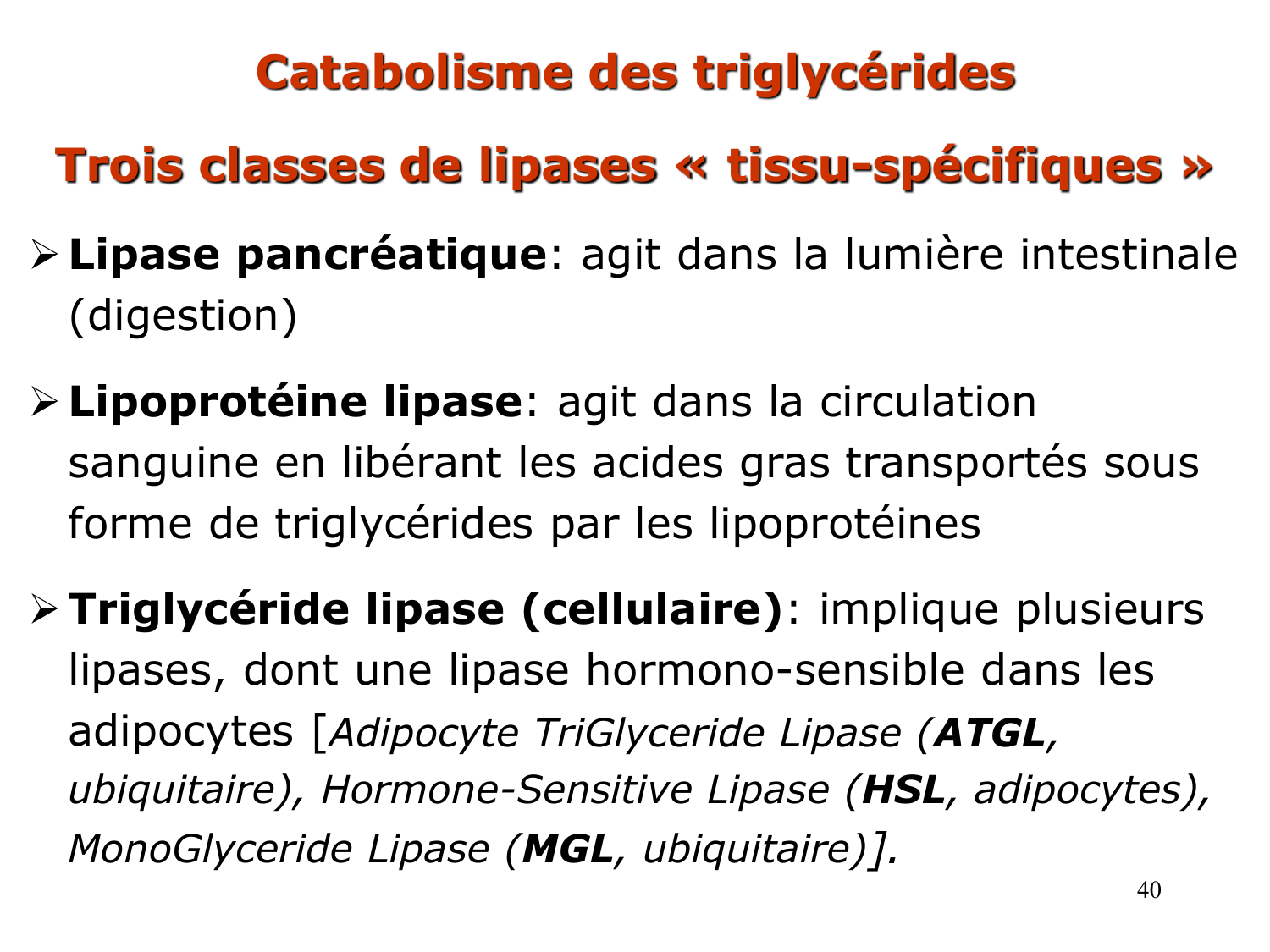 3. Métabolisme des triglycérides page 40