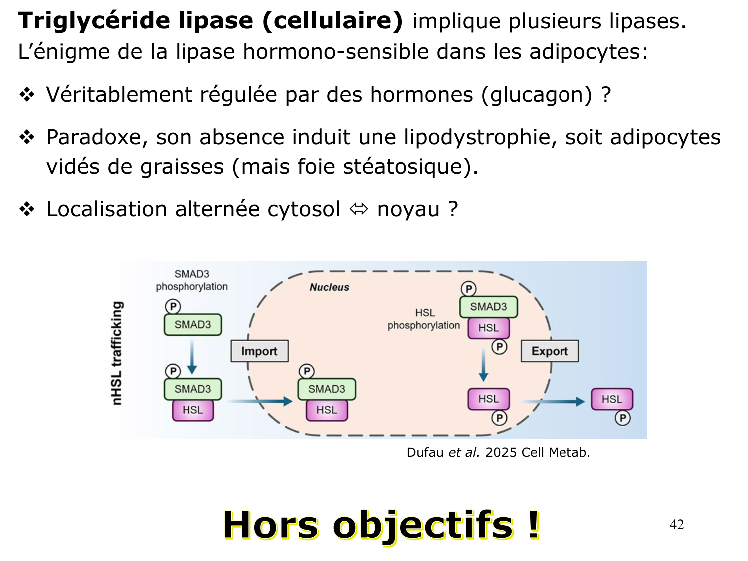 3. Métabolisme des triglycérides page 42
