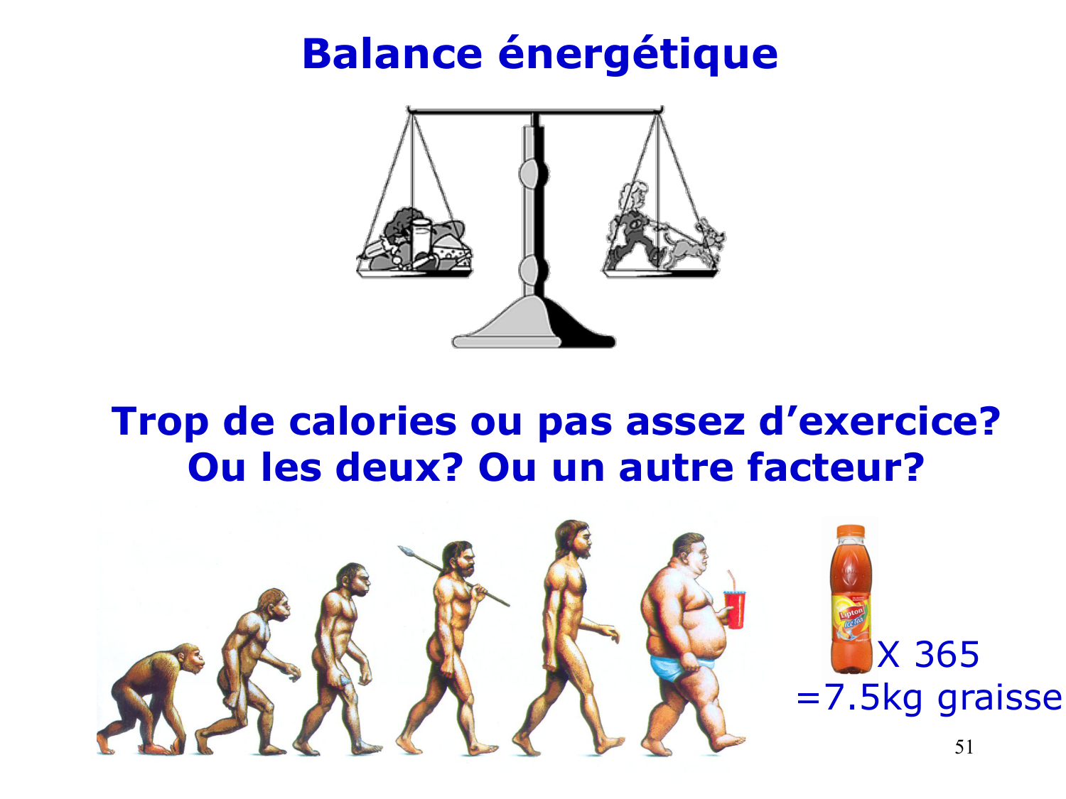 3. Métabolisme des triglycérides page 51