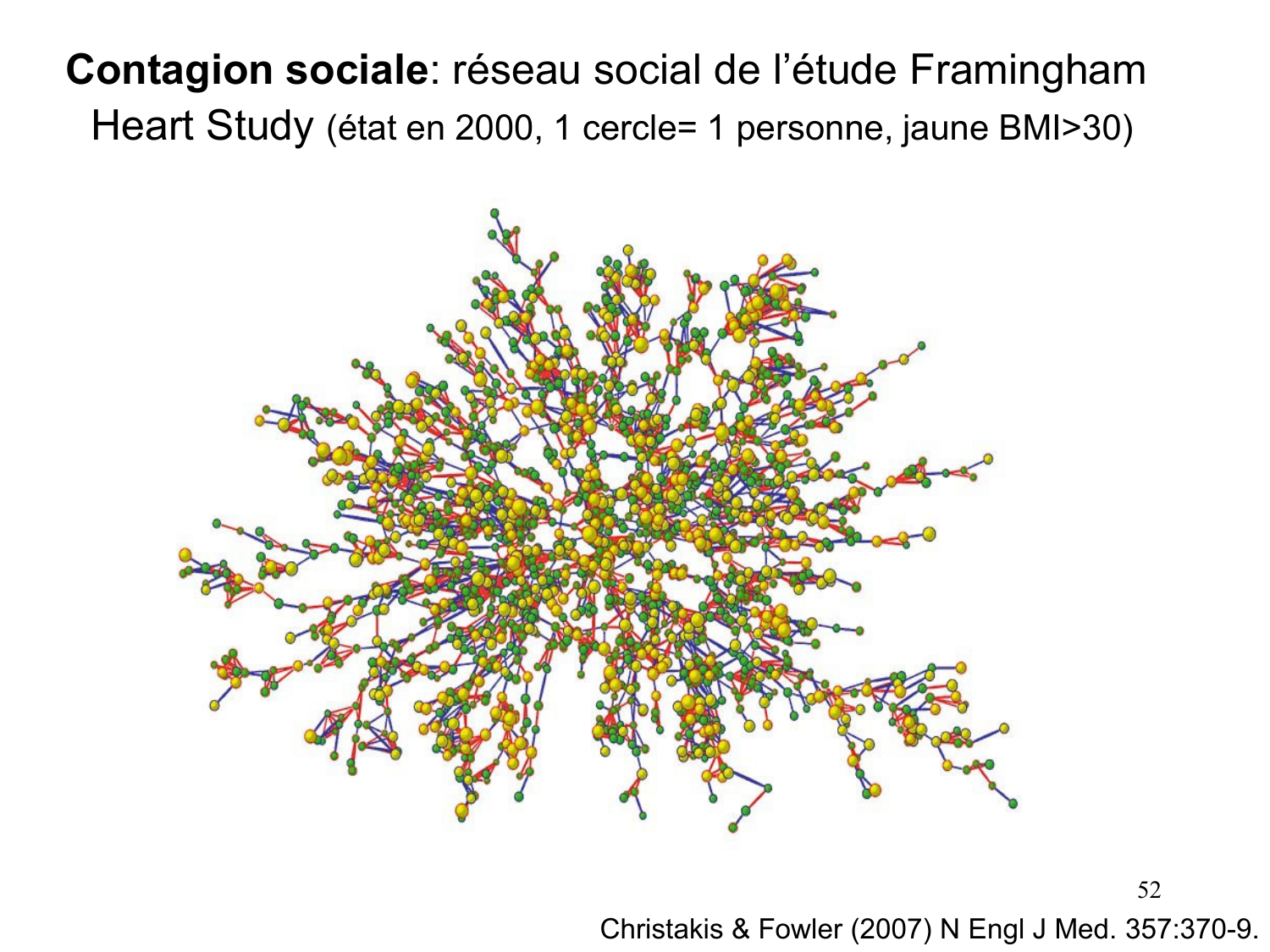 3. Métabolisme des triglycérides page 52